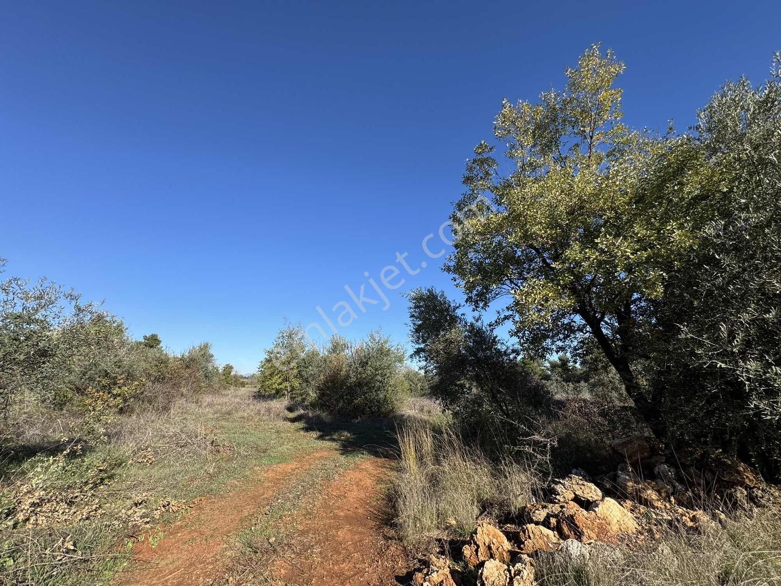 Duacı'da Yola Yakın 1615m2 Takasa Açık Satılık Tarla - Görsel 15
