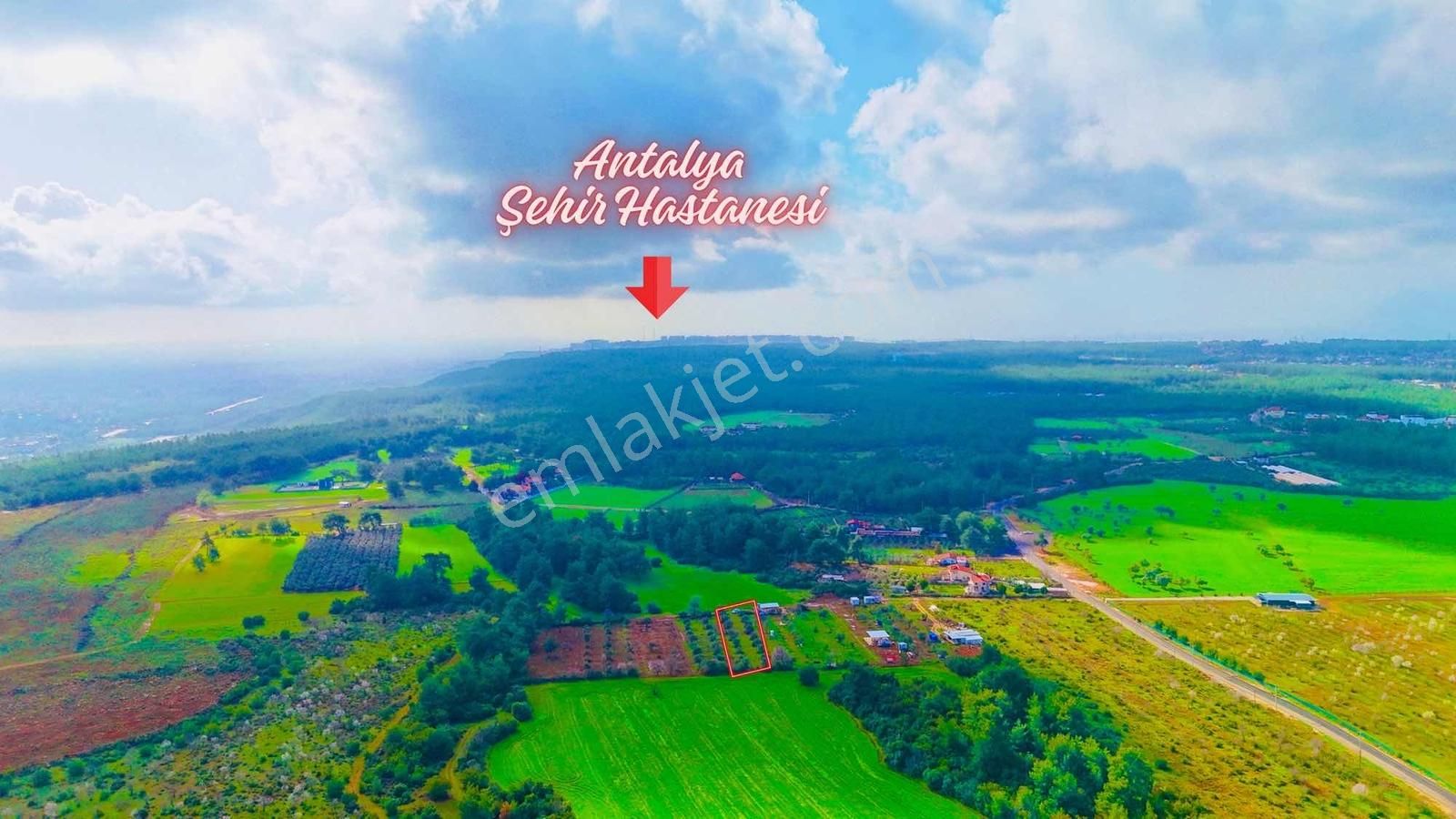 Duacı'da Yola Yakın 1615m2 Takasa Açık Satılık Tarla - Görsel 3