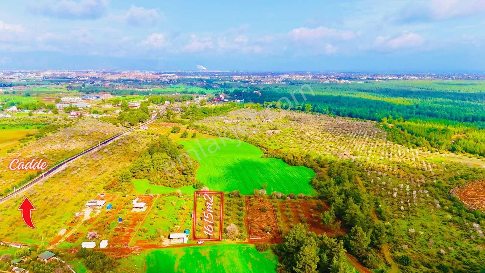 Duacı'da Yola Yakın 1615m2 Takasa Açık Satılık Tarla