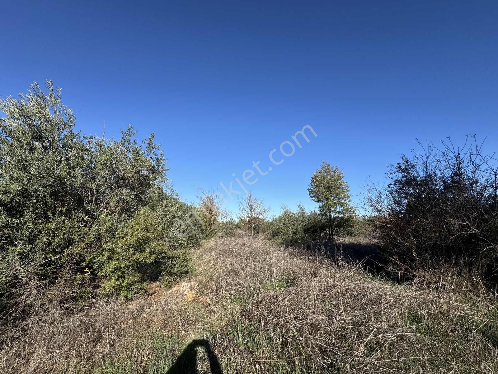 Duacı'da Yola Yakın 1615m2 Takasa Açık Satılık Tarla - Görsel 18