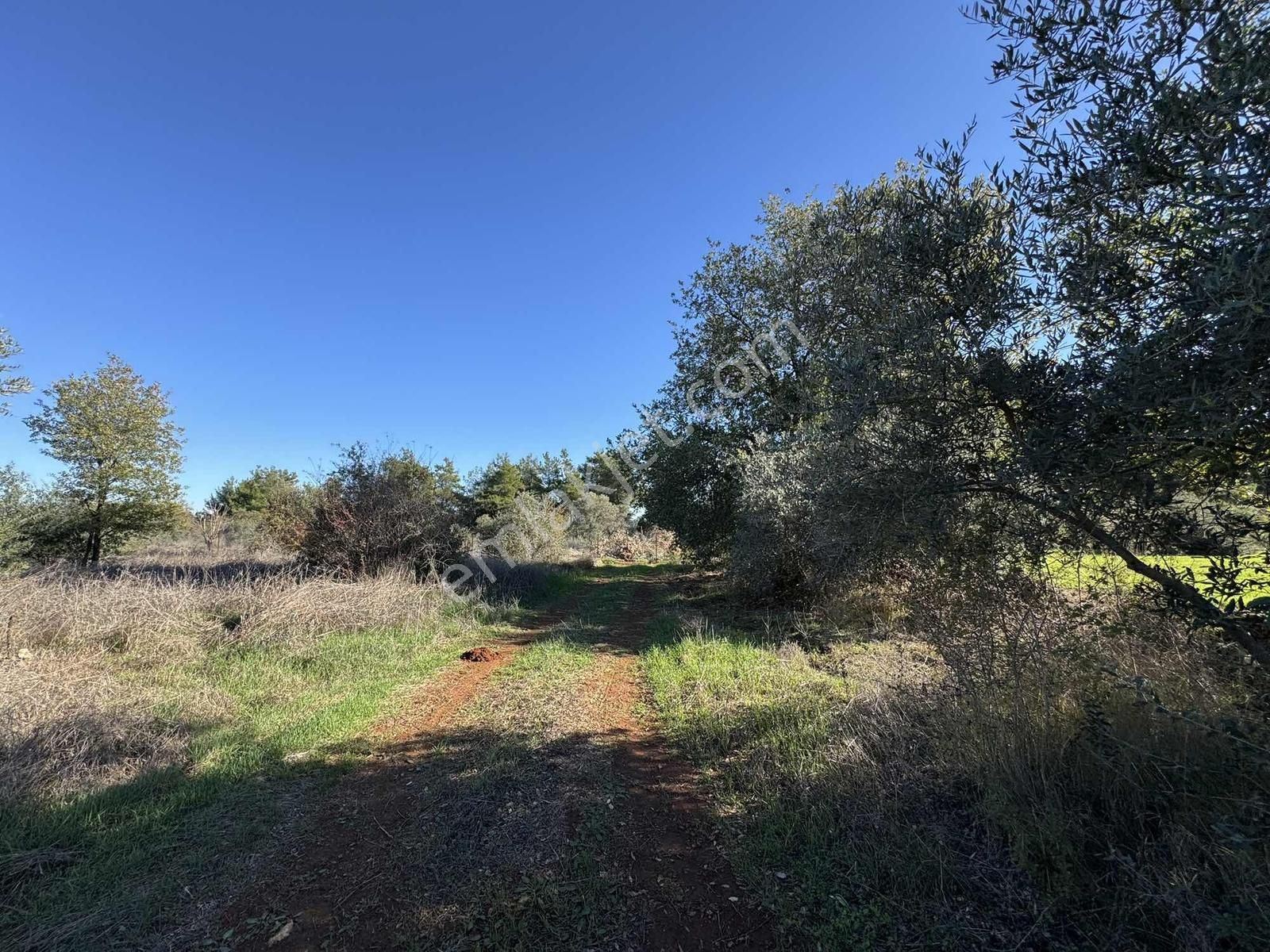 Duacı'da Yola Yakın 1615m2 Takasa Açık Satılık Tarla - Görsel 23