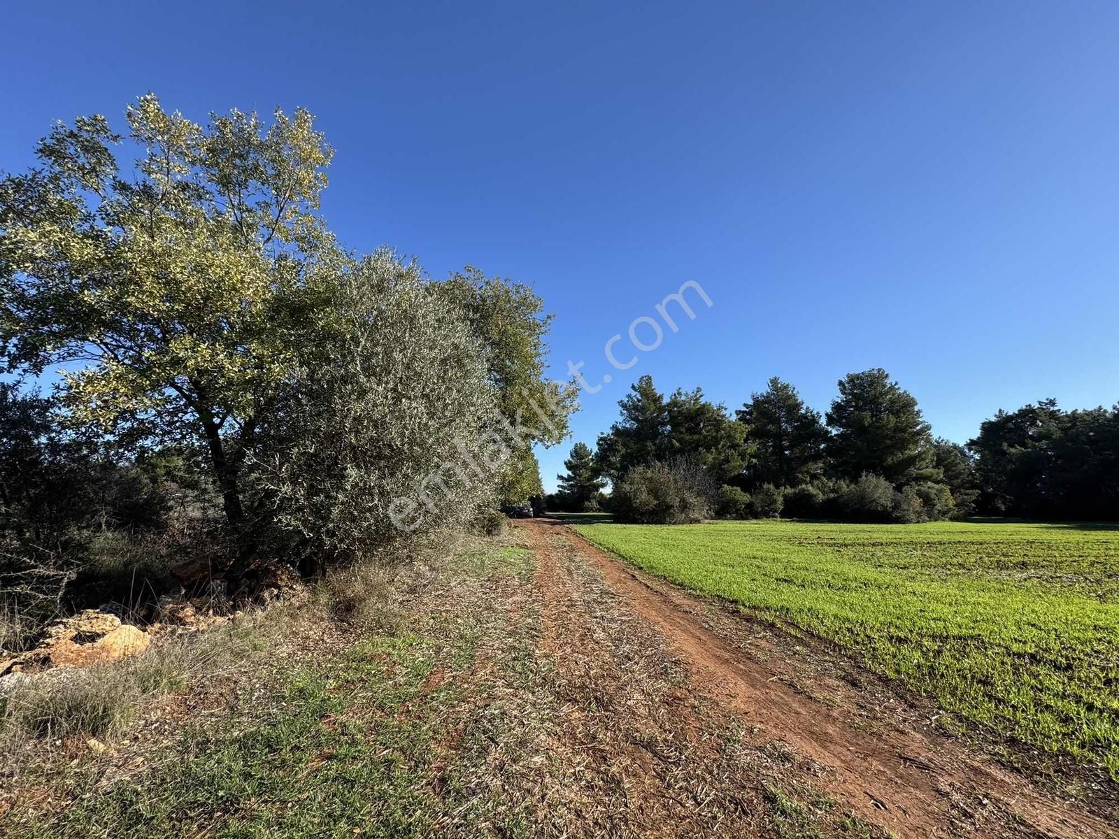 Duacı'da Yola Yakın 1615m2 Takasa Açık Satılık Tarla - Görsel 14