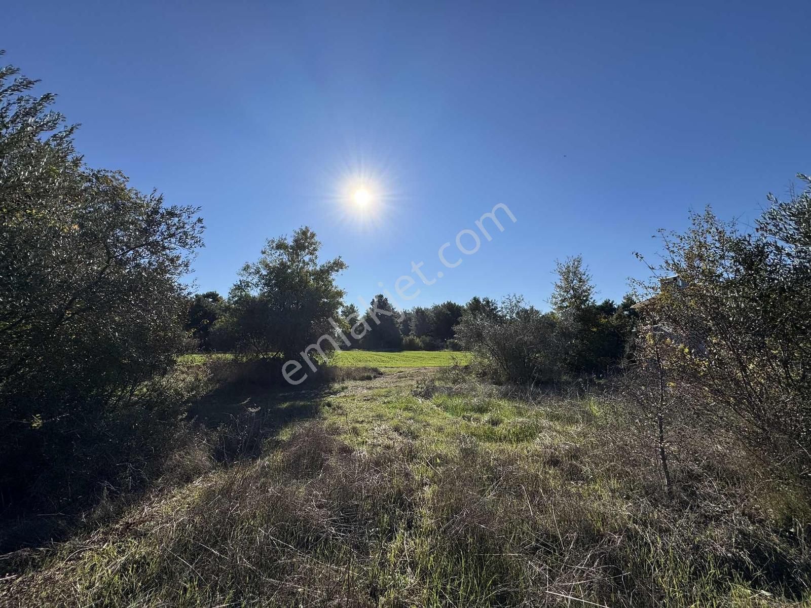 Duacı'da Yola Yakın 1615m2 Takasa Açık Satılık Tarla - Görsel 24