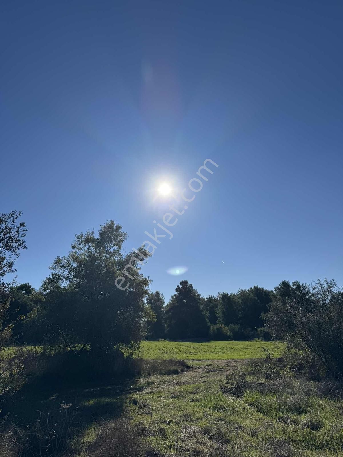 Duacı'da Yola Yakın 1615m2 Takasa Açık Satılık Tarla - Görsel 20