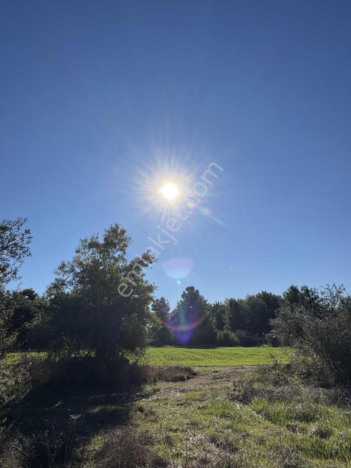 Duacı'da Yola Yakın 1615m2 Takasa Açık Satılık Tarla - Görsel 16