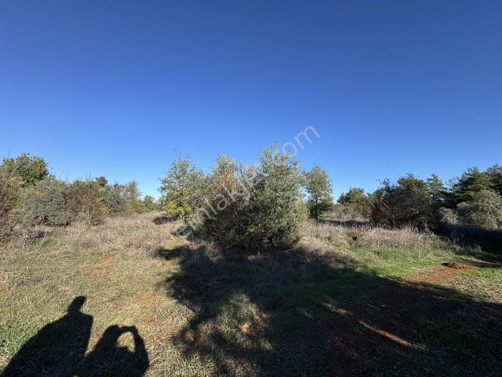 Duacı'da Yola Yakın 1615m2 Takasa Açık Satılık Tarla - Görsel 19