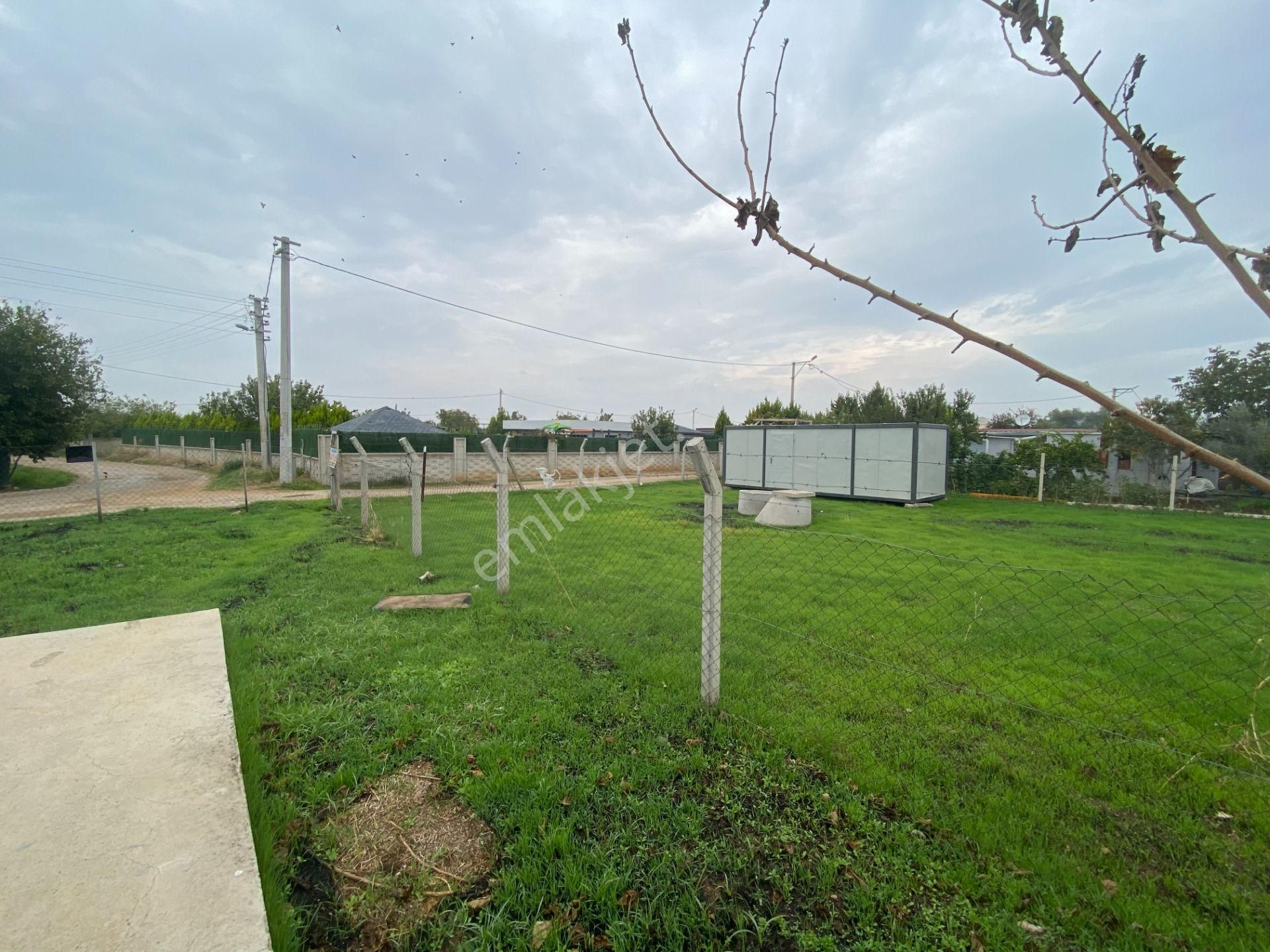 Mendereste Net 500 M2 Köşe Cephe Arsa ( Açıklamayı Tam Okuyun ) Komisyonsuz - Görsel 8