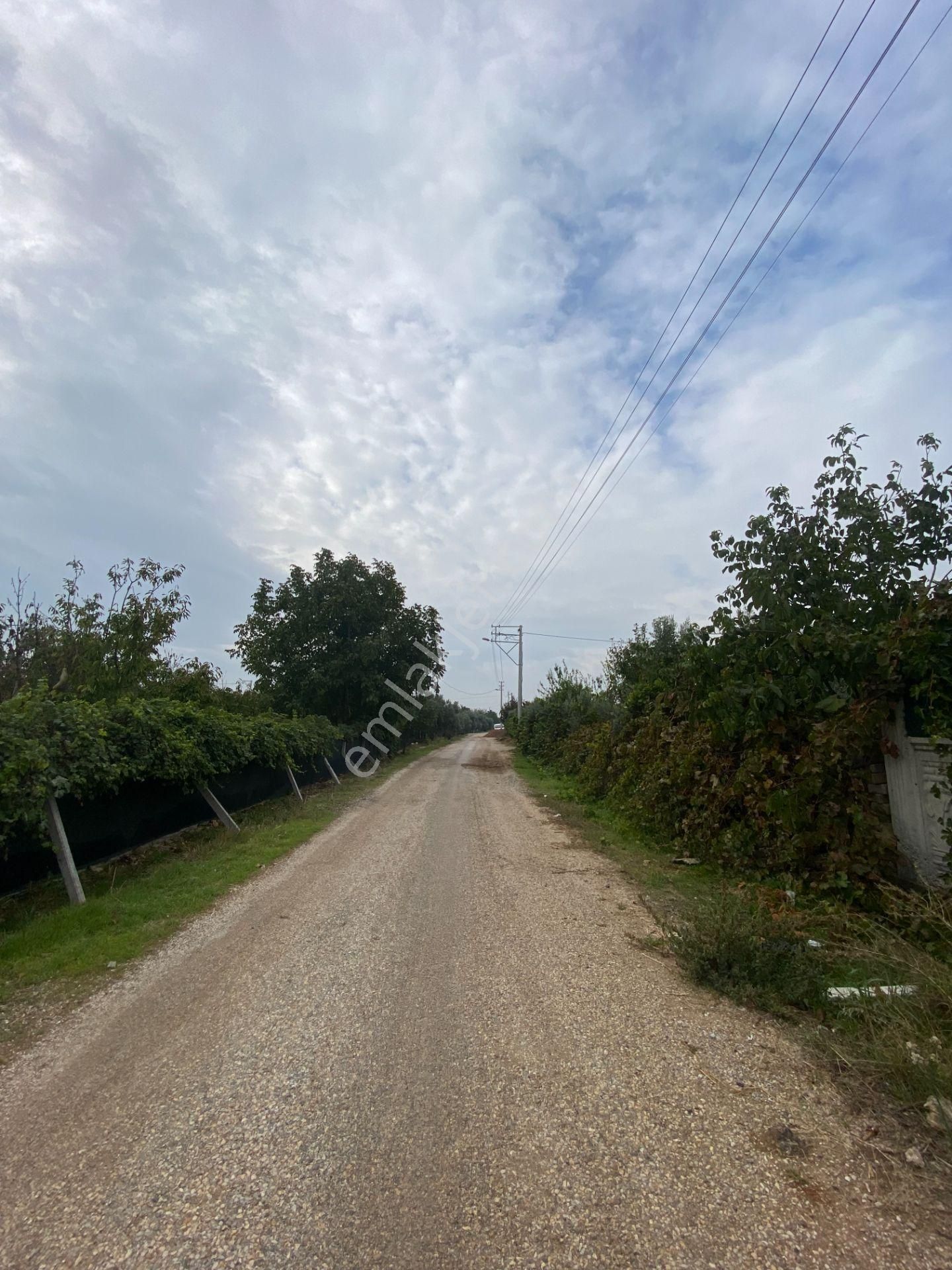 Mendereste Net 500 M2 Köşe Cephe Arsa ( Açıklamayı Tam Okuyun ) Komisyonsuz - Görsel 20