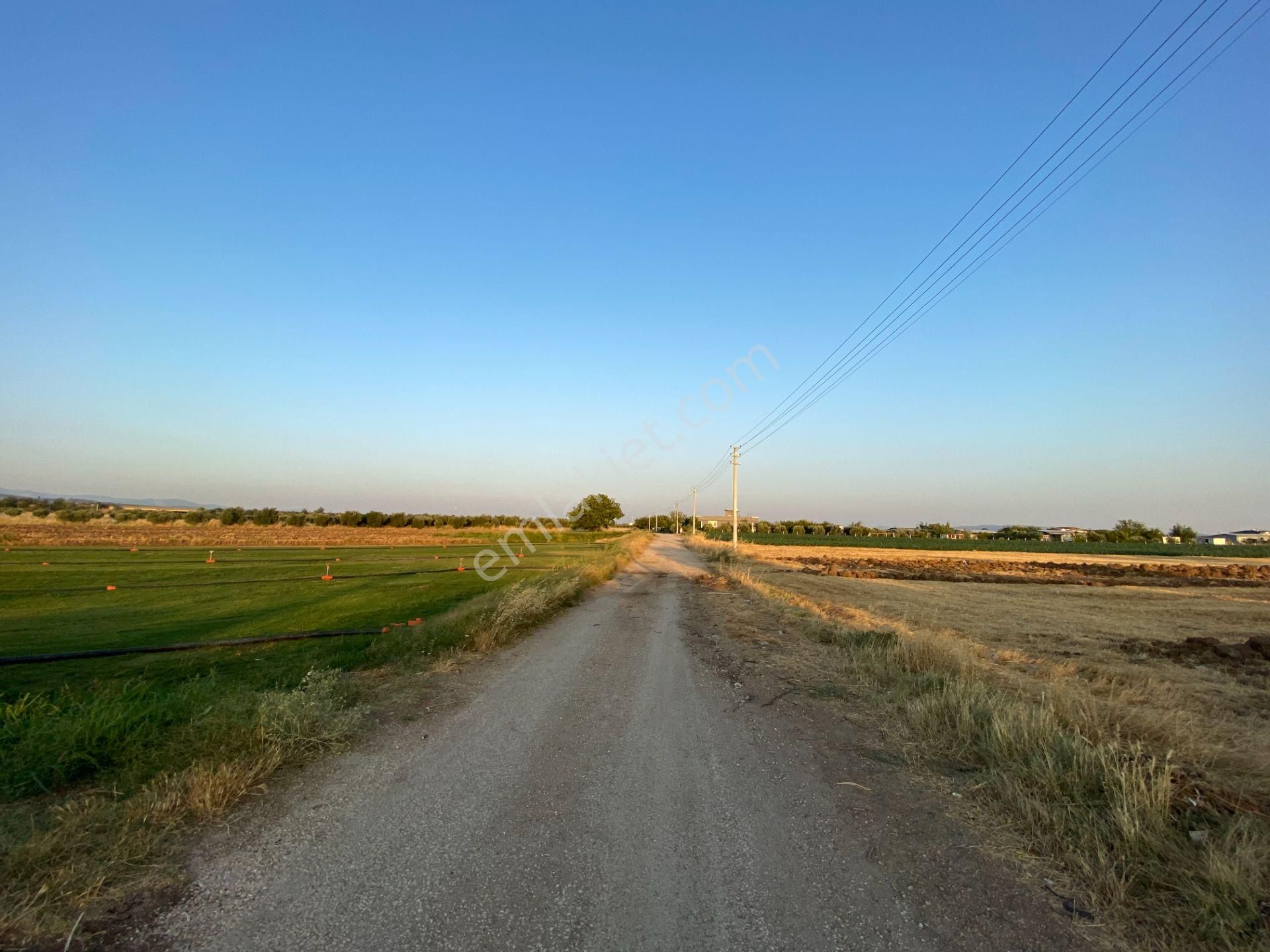 Mendereste Net 500 M2 Köşe Cephe Arsa ( Açıklamayı Tam Okuyun ) Komisyonsuz - Görsel 12