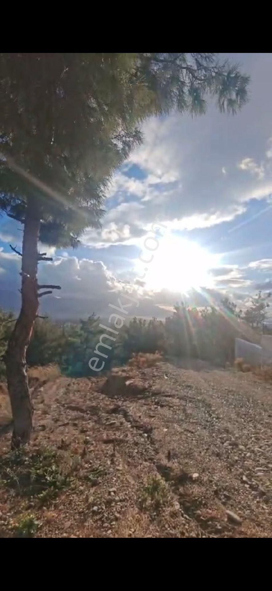 🏡 Kuşadası Soğucak’ta Satılık Arsa – Pine Clup Bolgesinde Hayalinizdeki Evi İnşa Edin! 🌿 - Görsel 5