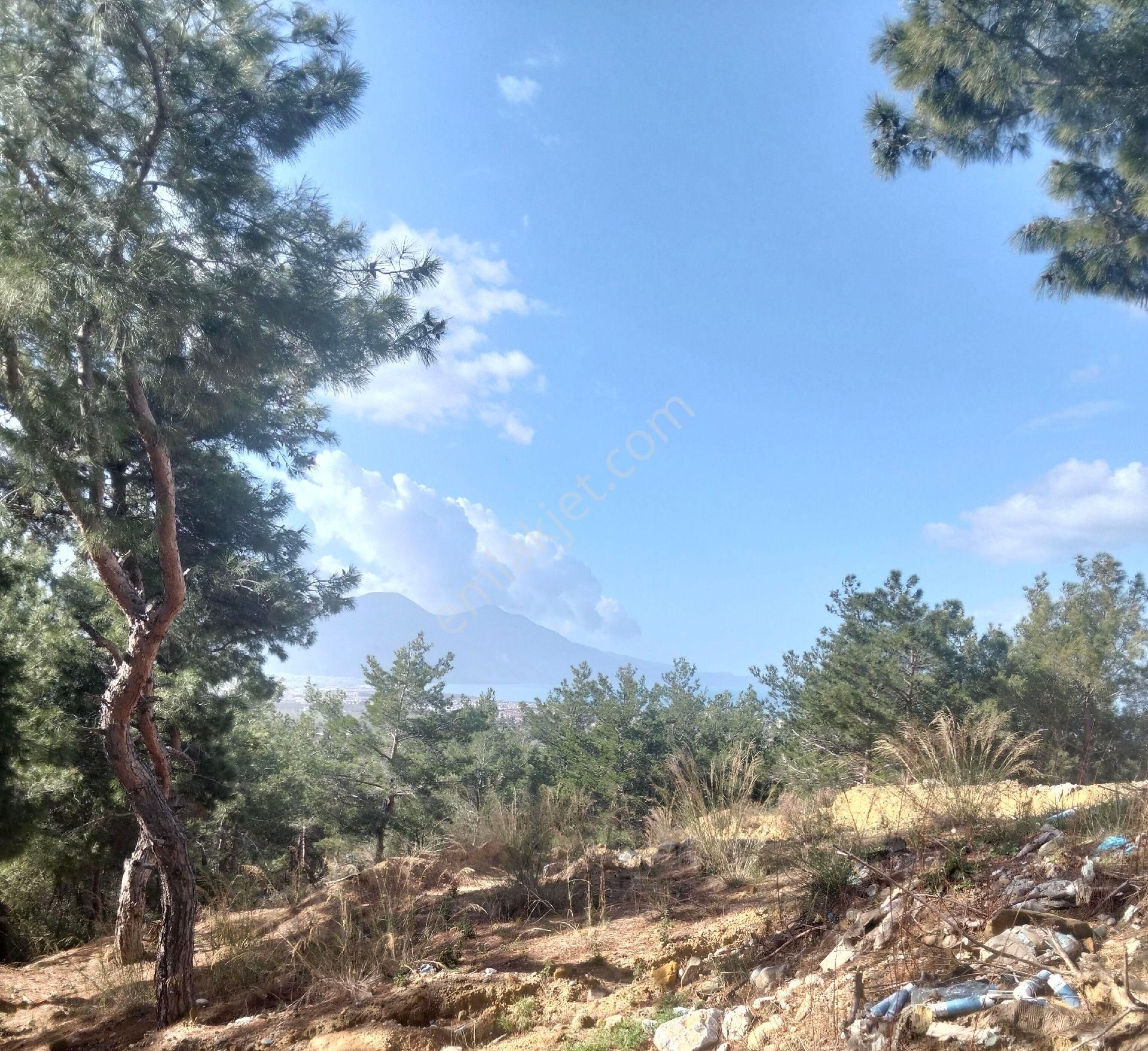 🏡 Kuşadası Soğucak’ta Satılık Arsa – Pine Clup Bolgesinde Hayalinizdeki Evi İnşa Edin! 🌿