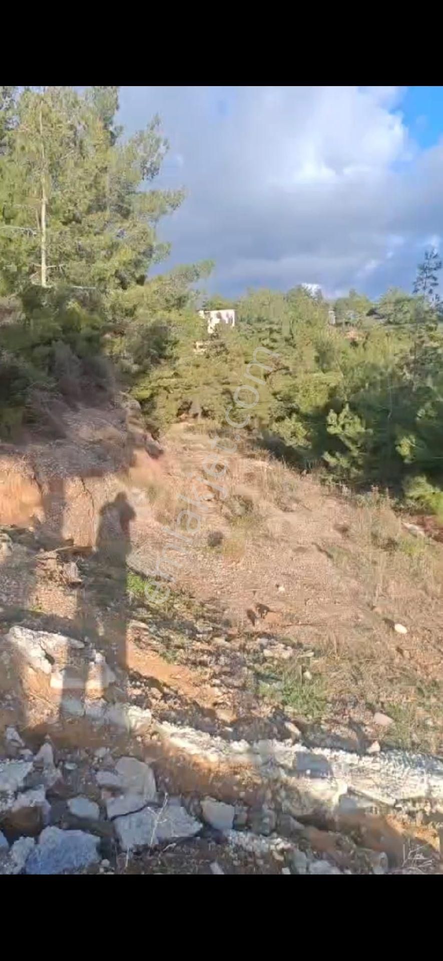 🏡 Kuşadası Soğucak’ta Satılık Arsa – Pine Clup Bolgesinde Hayalinizdeki Evi İnşa Edin! 🌿 - Görsel 4