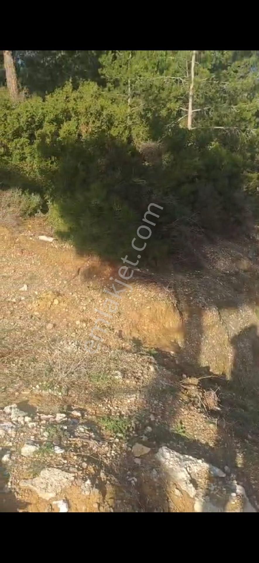 🏡 Kuşadası Soğucak’ta Satılık Arsa – Pine Clup Bolgesinde Hayalinizdeki Evi İnşa Edin! 🌿 - Görsel 3