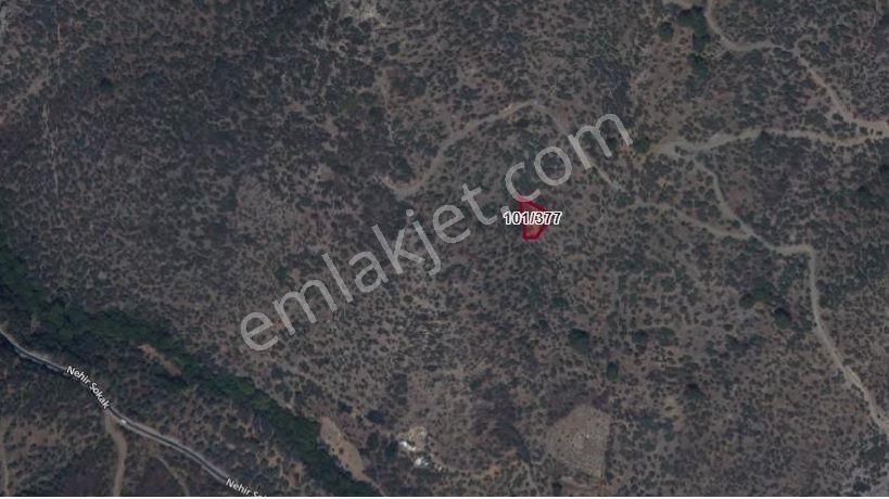 Yatırım Fırsatı - Satılık 540 M2 Bayındır Dereköy Zeytinlik - Görsel 3