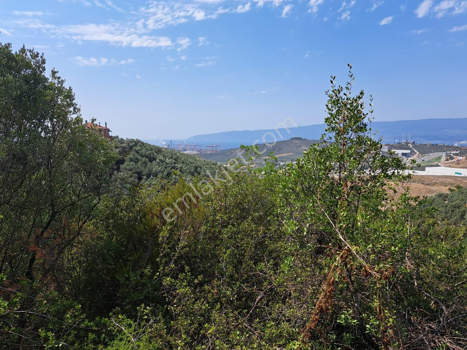 Bursa Gemlik Umurbey Satılık Zeytın Bahçesi 2500m2 - Görsel 6