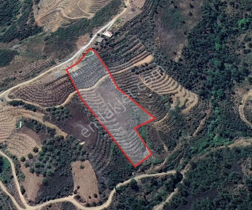 Üretıme Uygun, Altyapısı Hazır | Göçükte Satılık Tarla