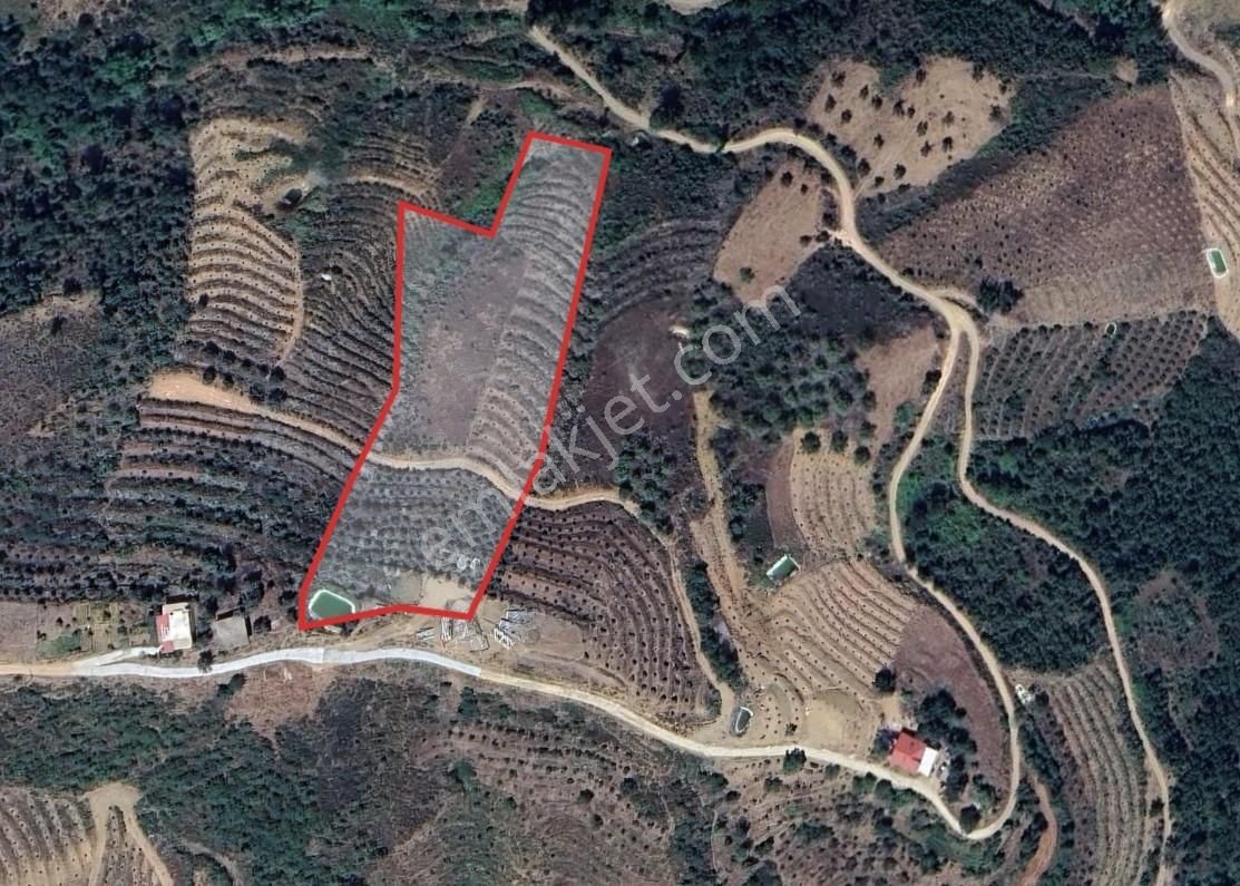 Üretıme Uygun, Altyapısı Hazır | Göçükte Satılık Tarla - Görsel 4