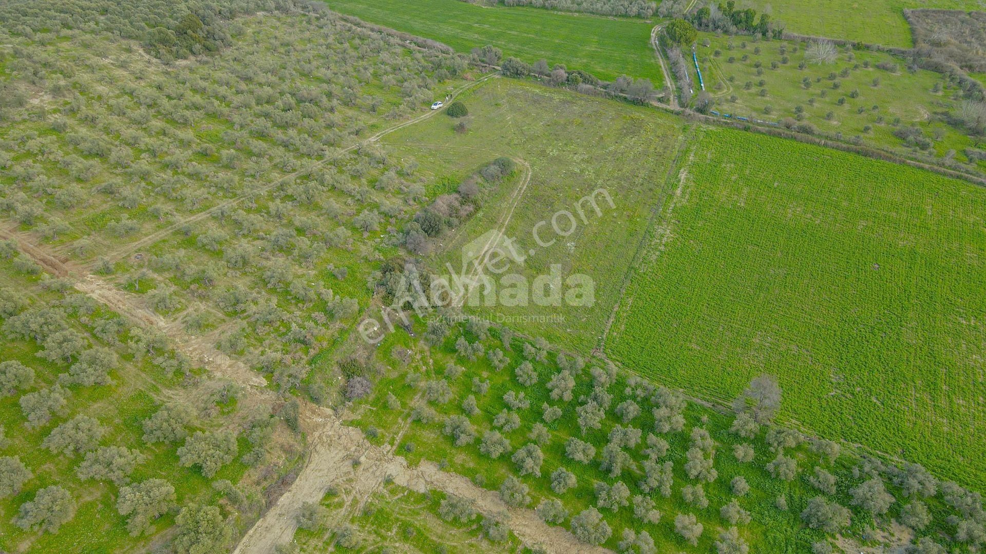 Kuşadası Değirmendere'de Yatırımlık 730 M2 Bahçe - Görsel 12