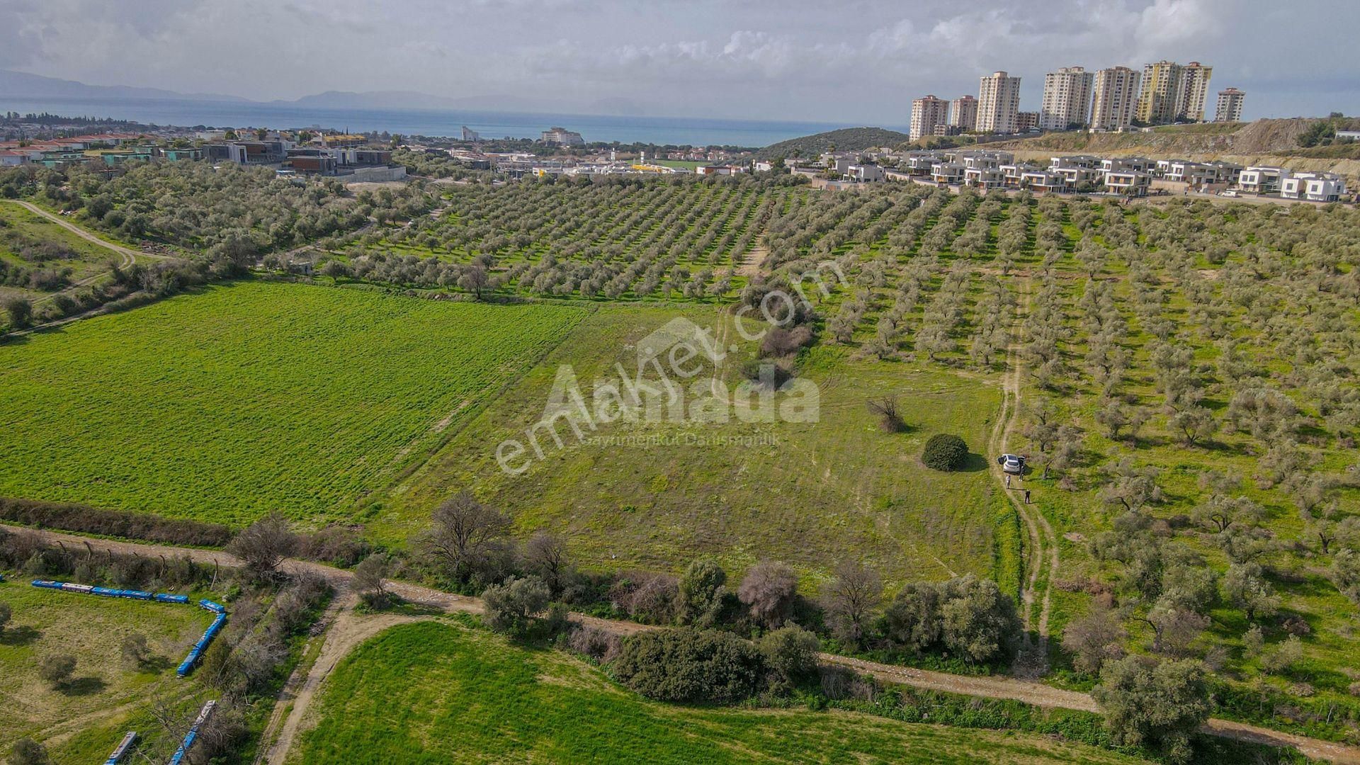 Kuşadası Değirmendere'de Yatırımlık 730 M2 Bahçe - Görsel 4