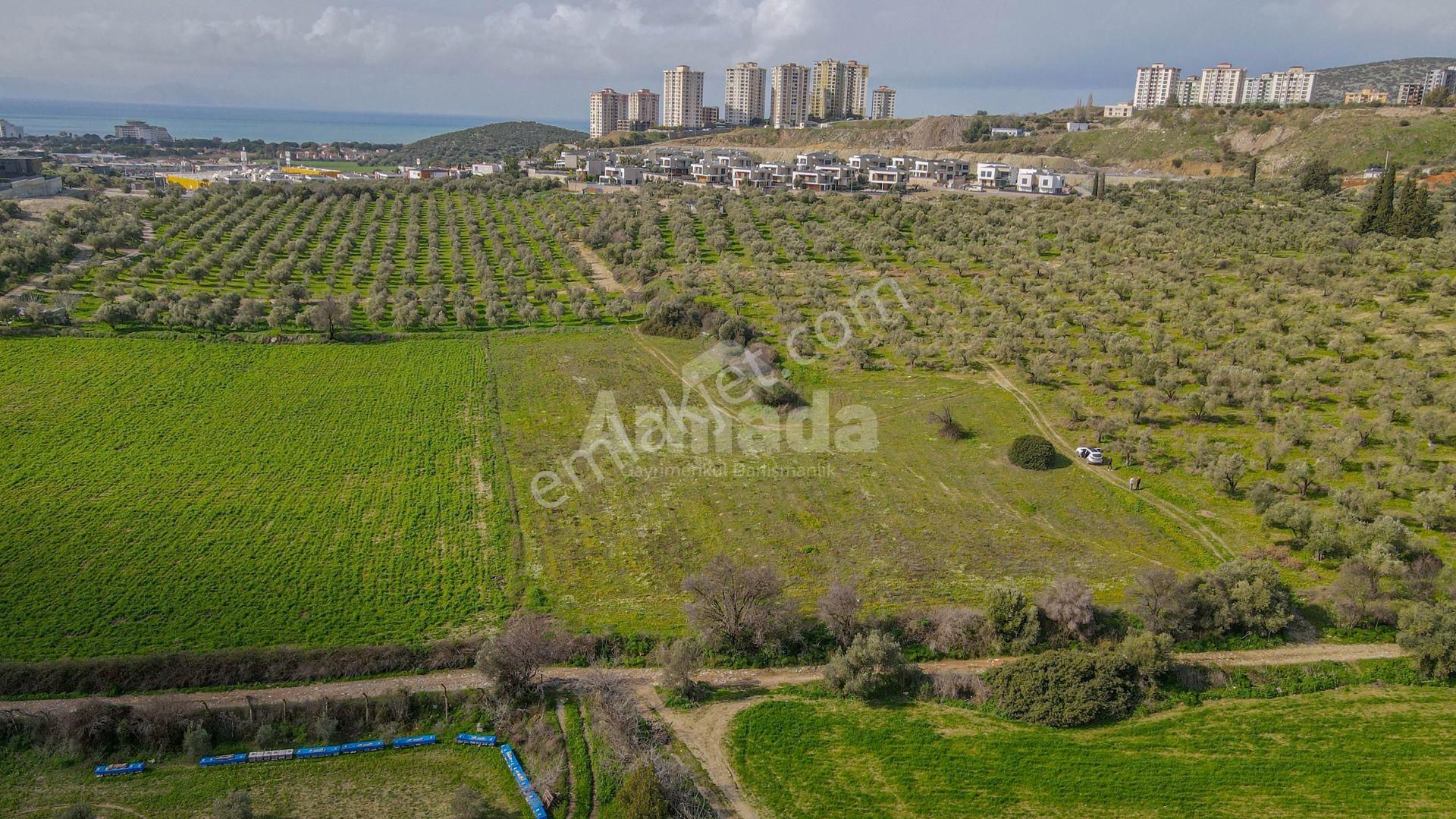 Kuşadası Değirmendere'de Yatırımlık 730 M2 Bahçe - Görsel 5