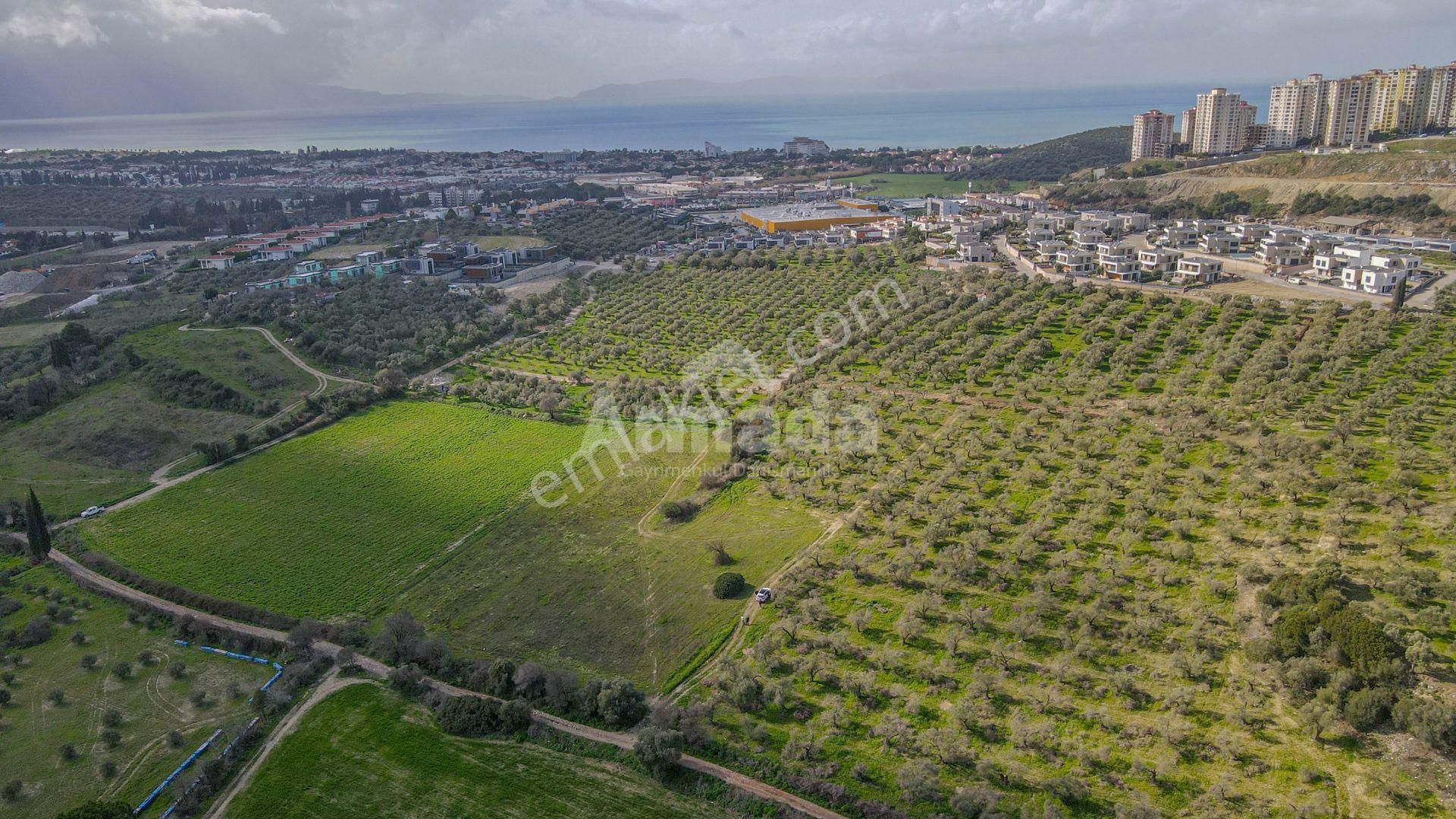 Kuşadası Değirmendere'de Yatırımlık 730 M2 Bahçe - Görsel 7