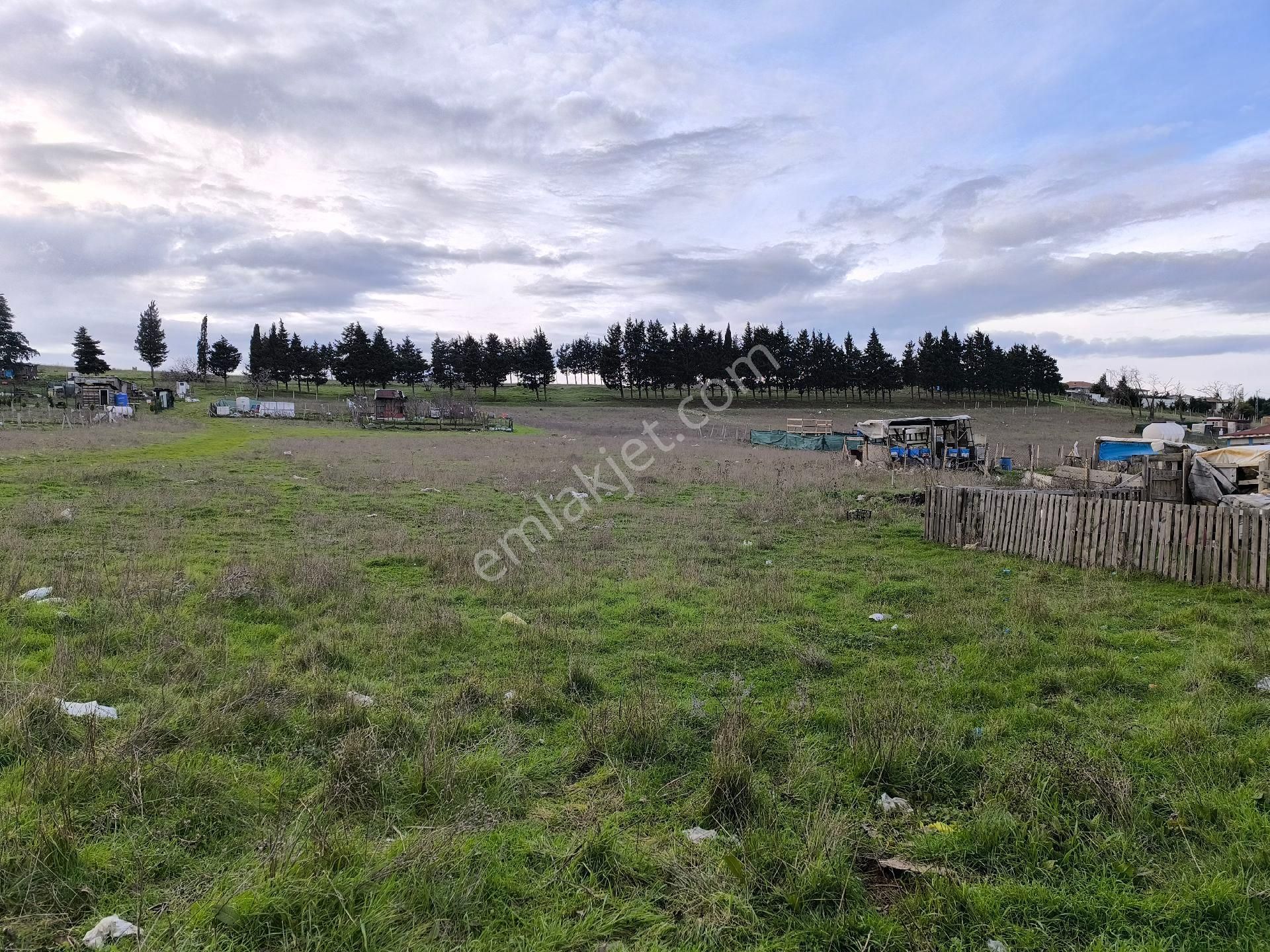 Büyükçekmece Türkoba'da İmarın İçinde Satılık 251m2 Tarla - Görsel 5