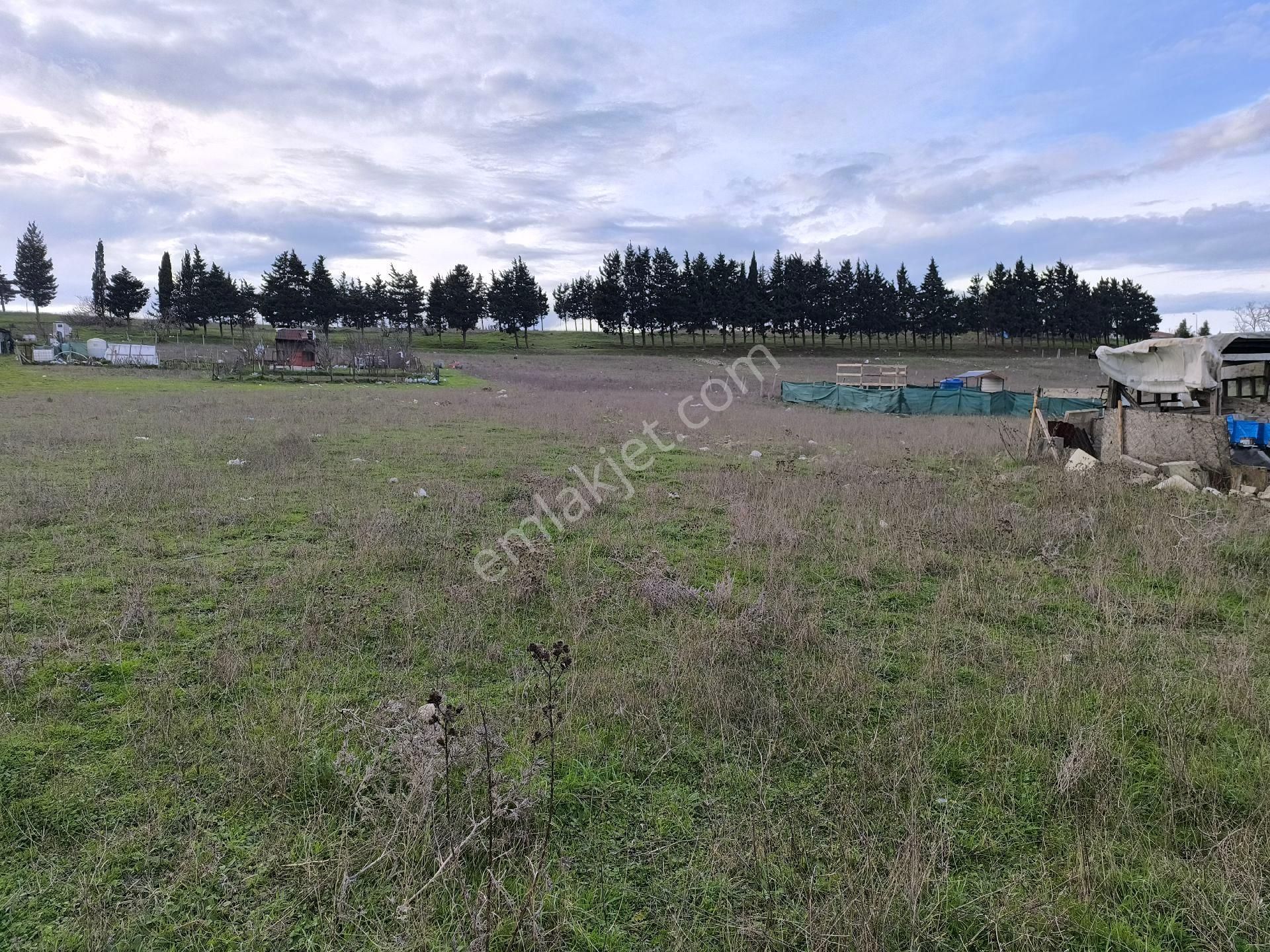 Büyükçekmece Türkoba'da İmarın İçinde Satılık 251m2 Tarla - Görsel 18