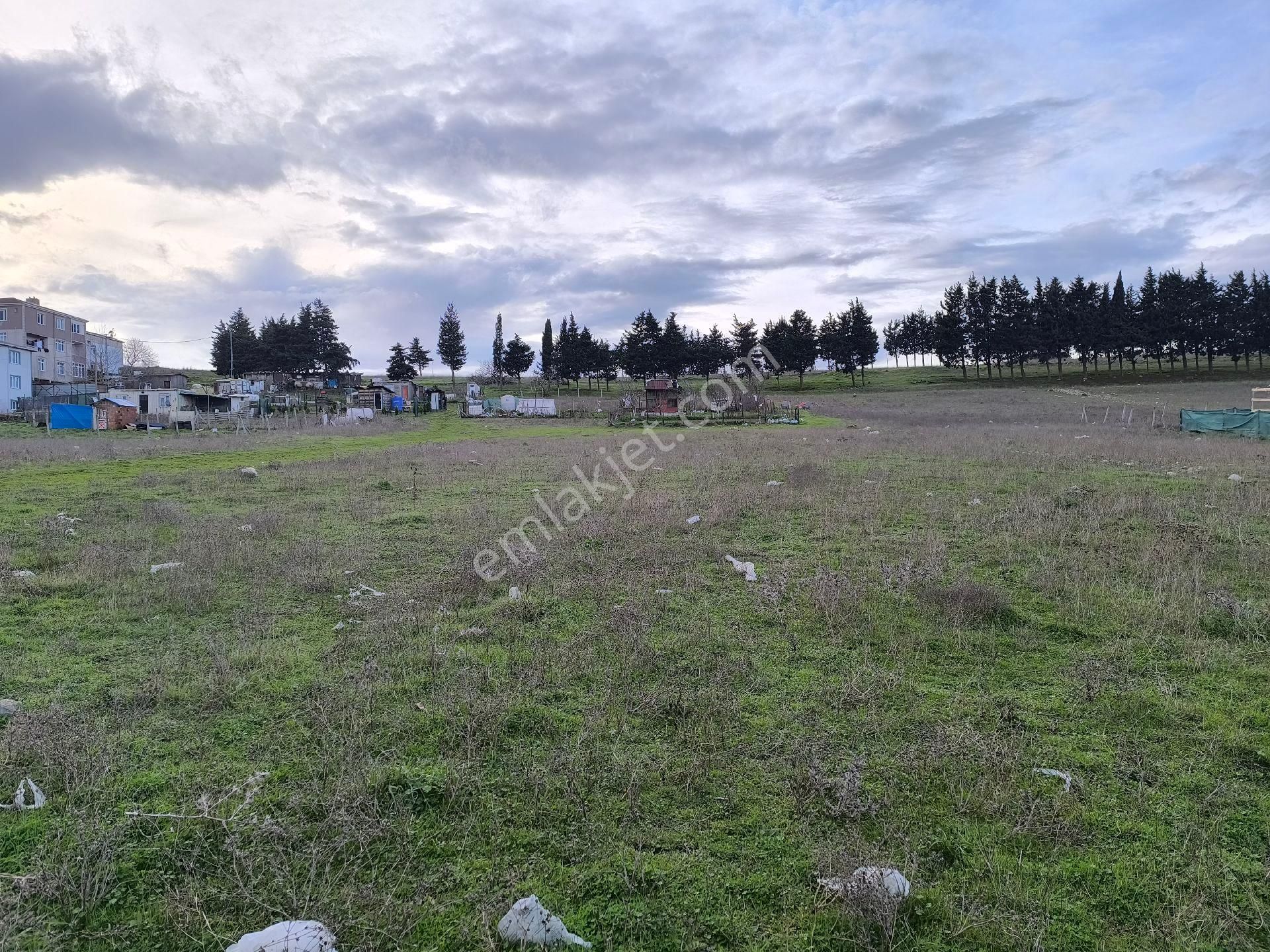 Büyükçekmece Türkoba'da İmarın İçinde Satılık 251m2 Tarla