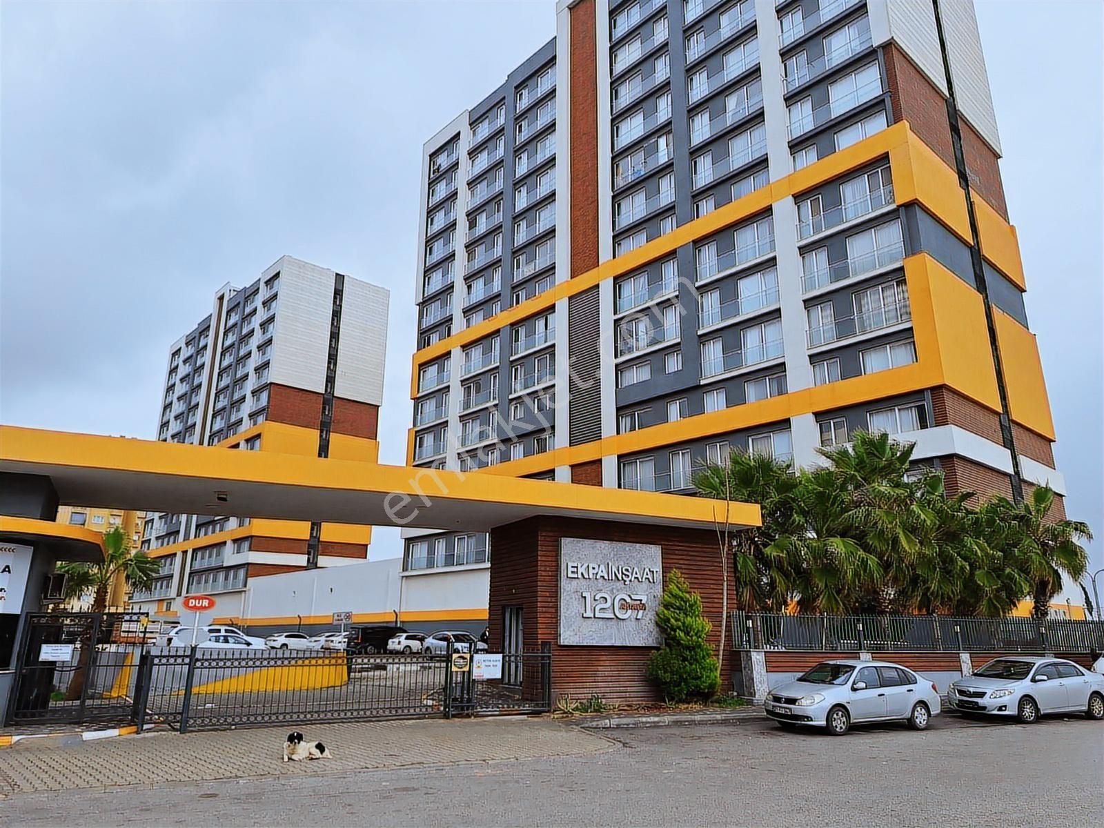 Ekpa 1207 De Satılık 1+1 Şık Arakat Daire - Görsel 5