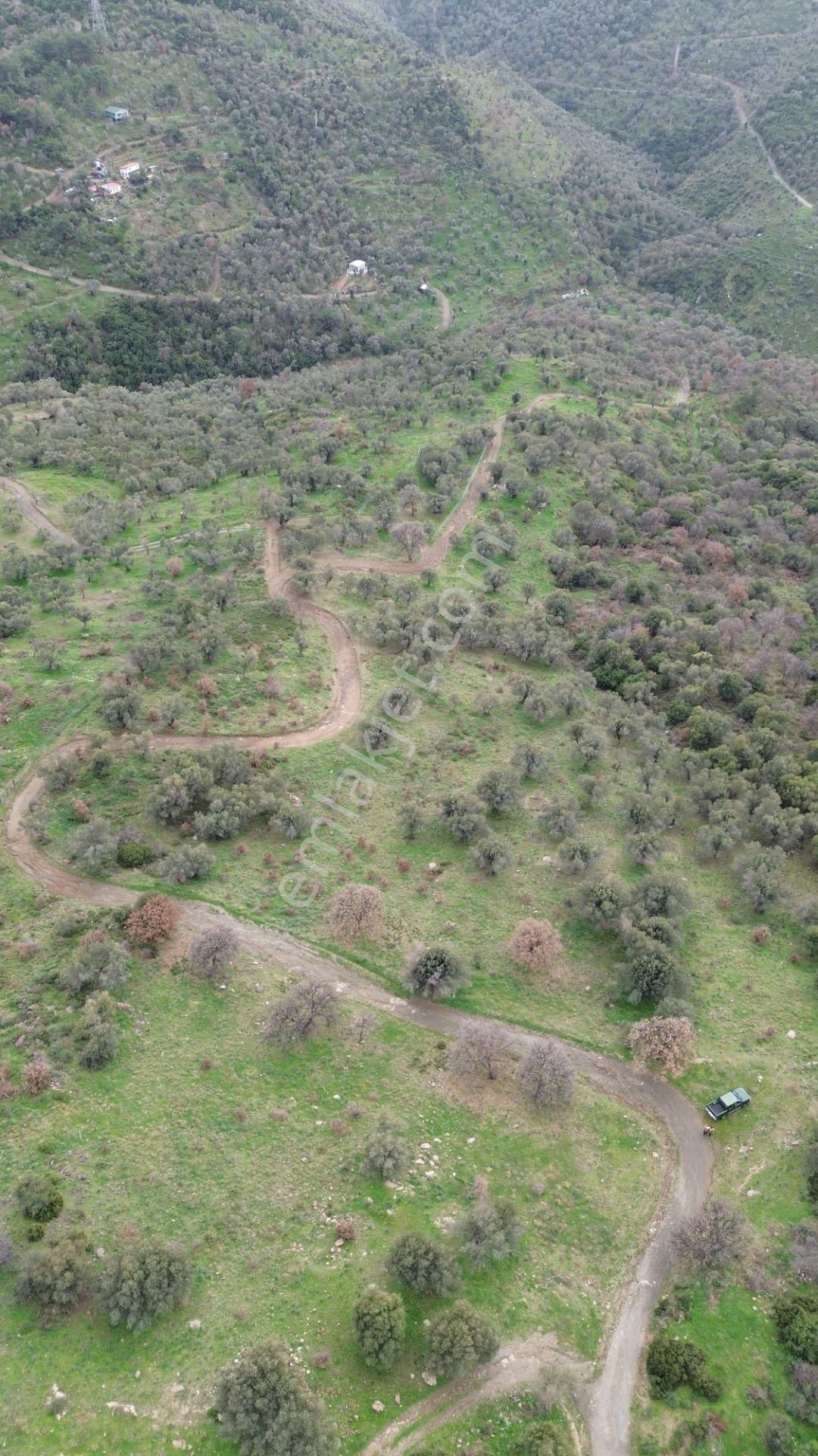 Seferihisar Ulamış Mahallesi – Baraja Yakın, Geniş Yol Cepheli, Vadi Manzaralı Satılık Zeytinlik - Görsel 6