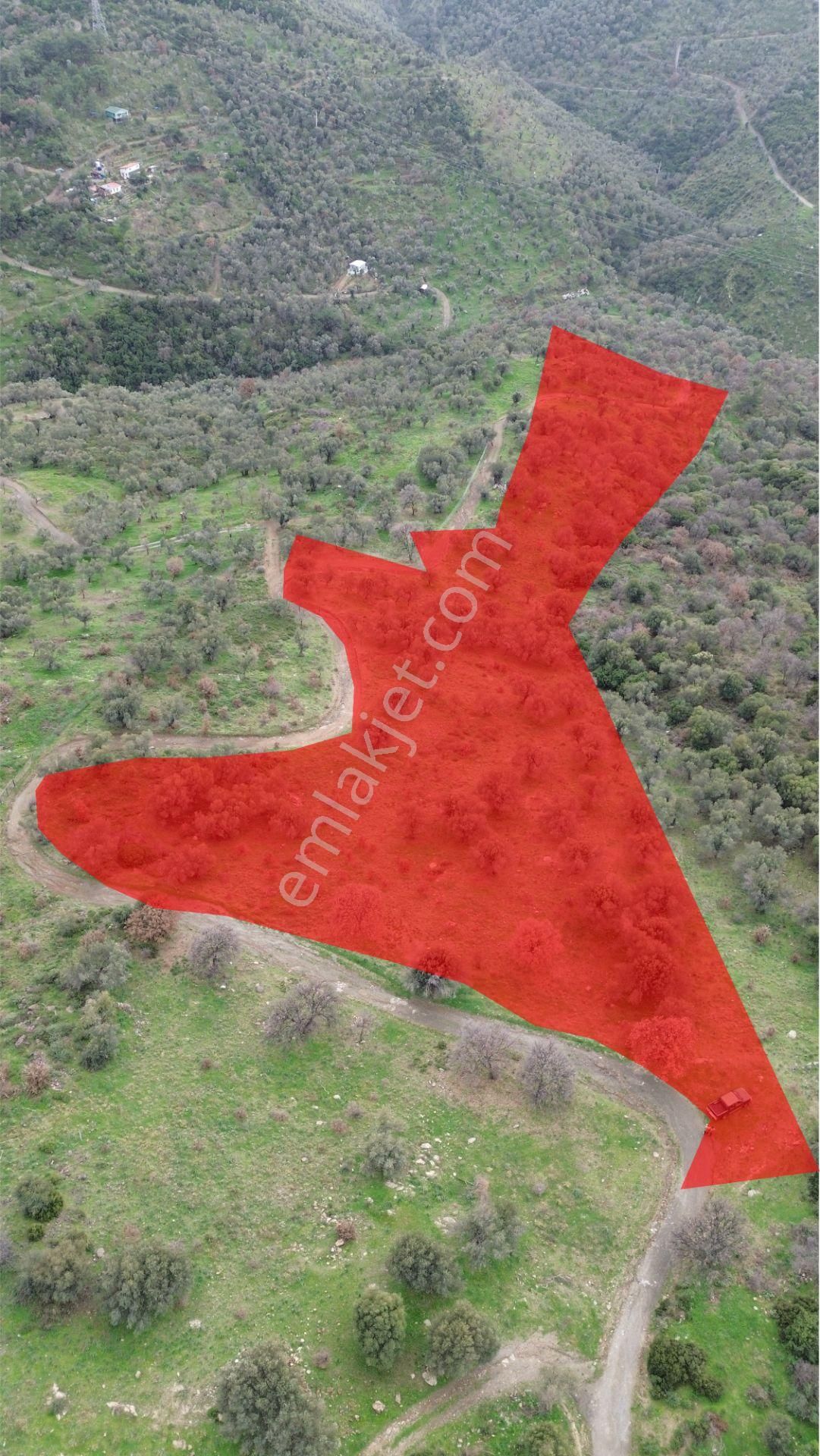 Seferihisar Ulamış Mahallesi – Baraja Yakın, Geniş Yol Cepheli, Vadi Manzaralı Satılık Zeytinlik - Görsel 18