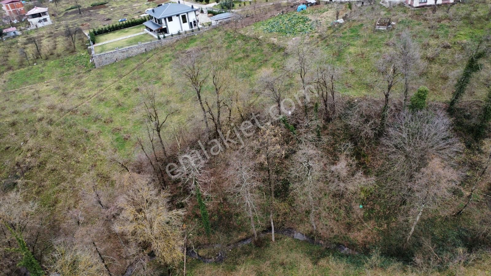 Trabzon Ortahisar'da Satılık Arazi