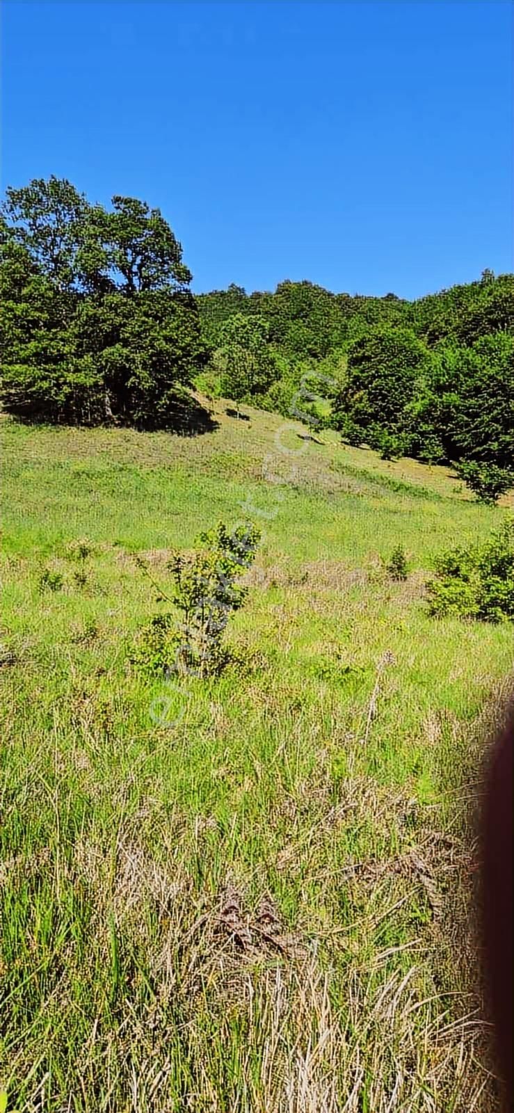 İzmit Sarışeyh Mh 4.038 M2 Mükemmel Konum Da Satılık Arazi - Görsel 4