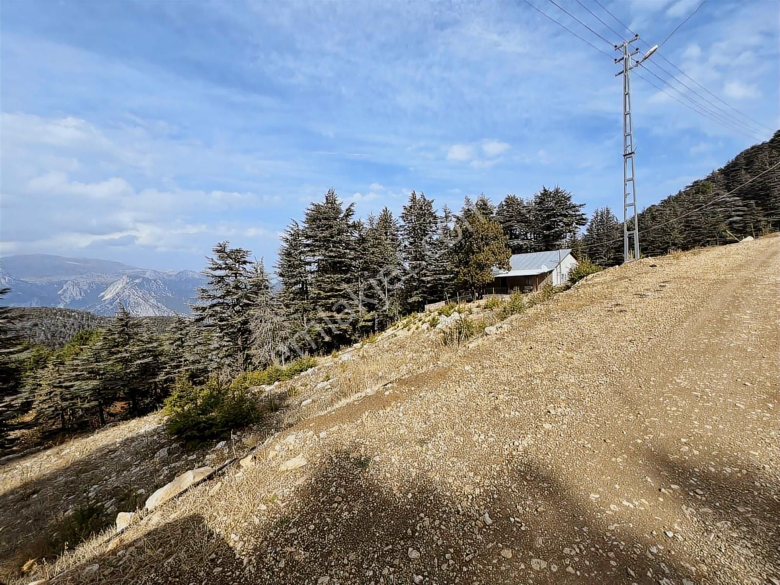 Elmayanı Yaylası/hisarçandır Da Satılık Tarla - Görsel 24