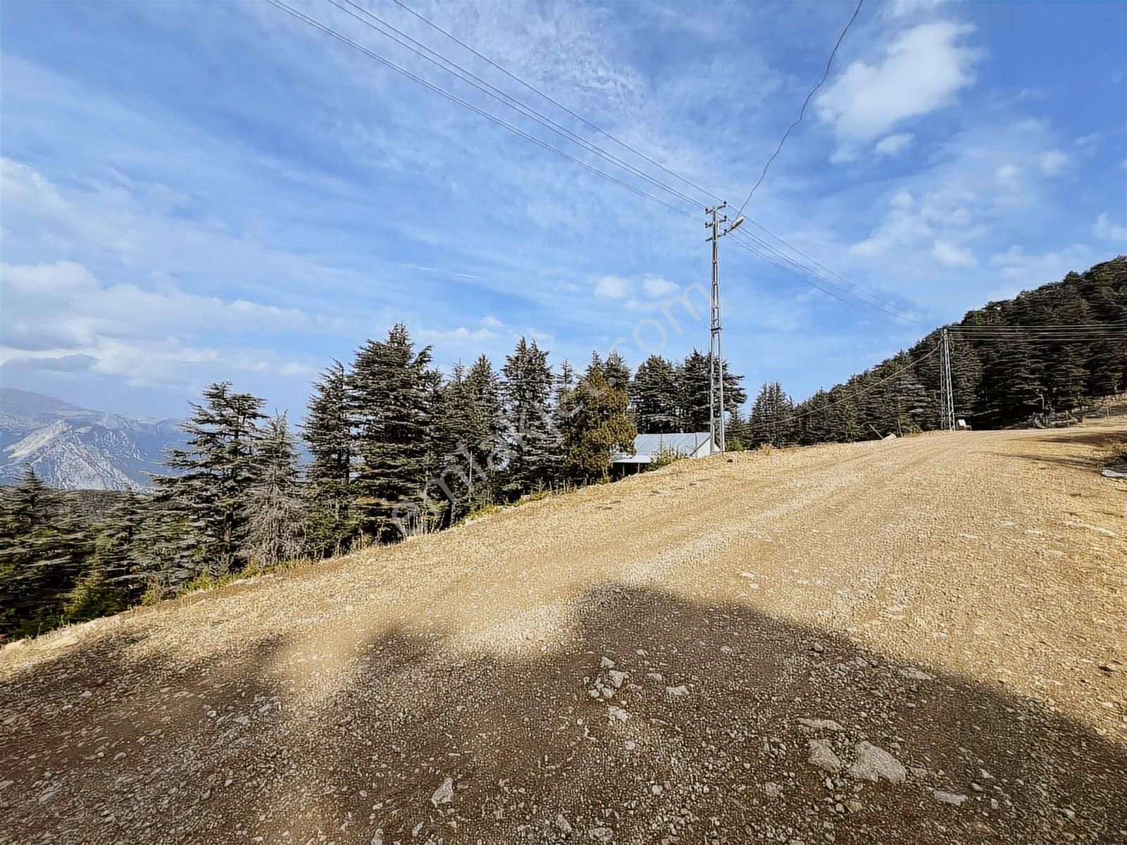 Elmayanı Yaylası/hisarçandır Da Satılık Tarla - Görsel 16