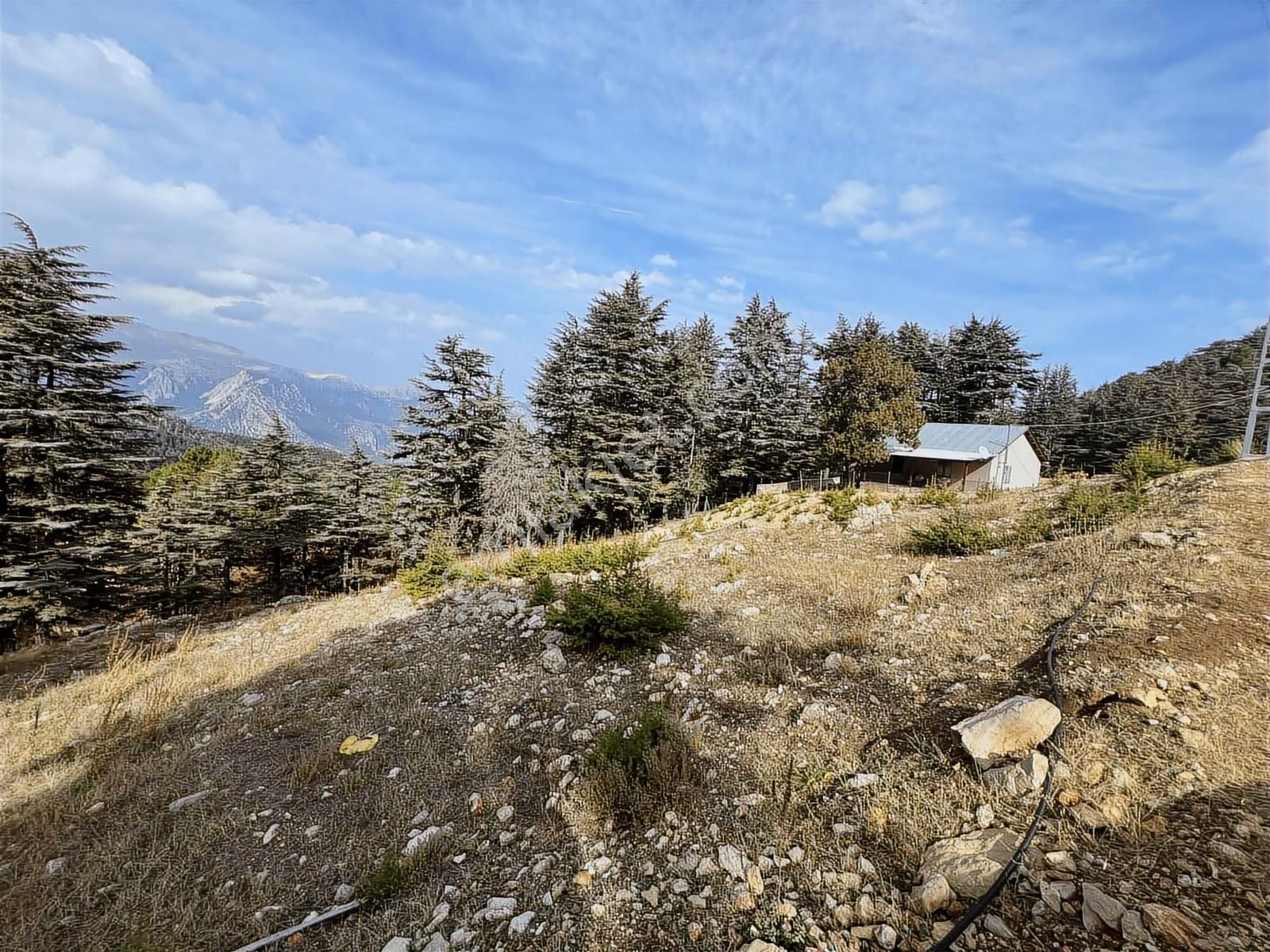 Elmayanı Yaylası/hisarçandır Da Satılık Tarla - Görsel 3