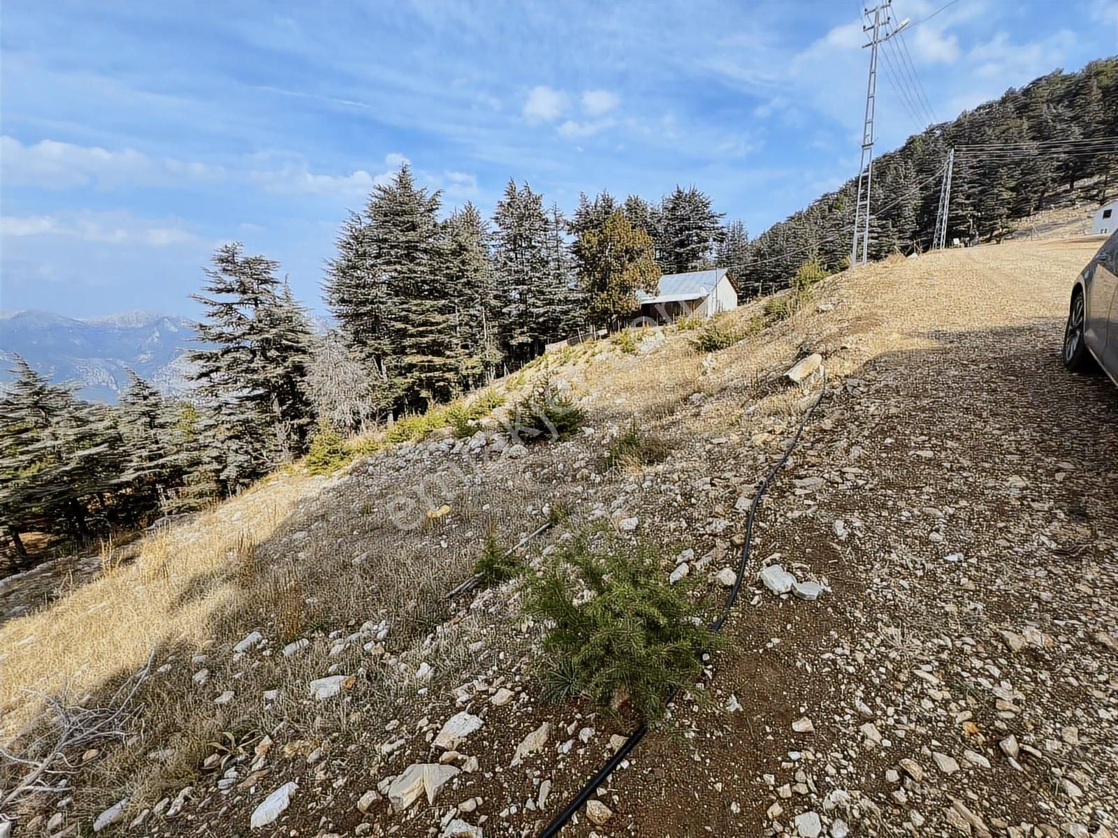 Elmayanı Yaylası/hisarçandır Da Satılık Tarla - Görsel 19