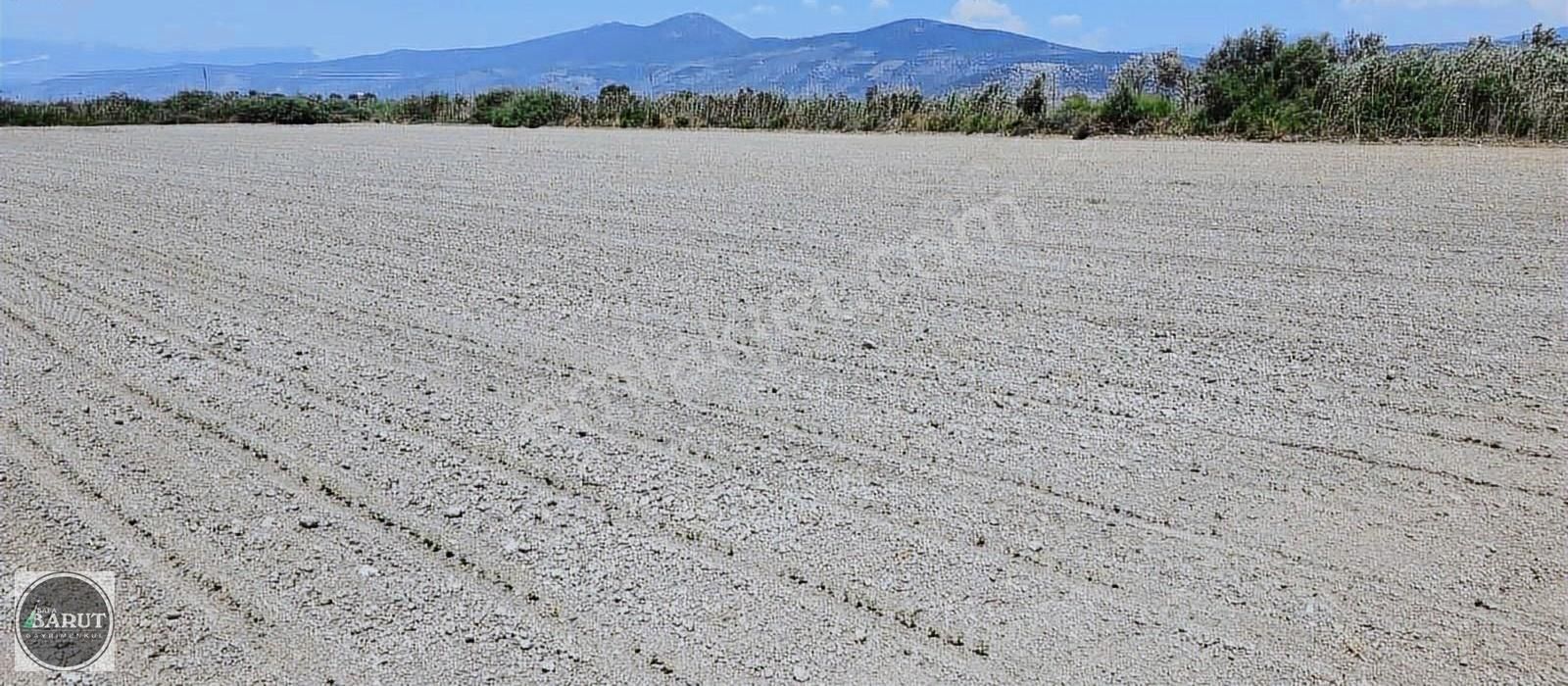 Milas Koru Köyünde İmara Sınır 12.500 M2 Satılık Tarla - Görsel 12