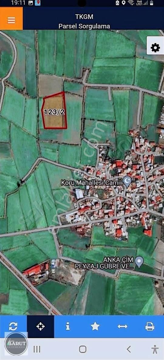 Milas Koru Köyünde İmara Sınır 12.500 M2 Satılık Tarla