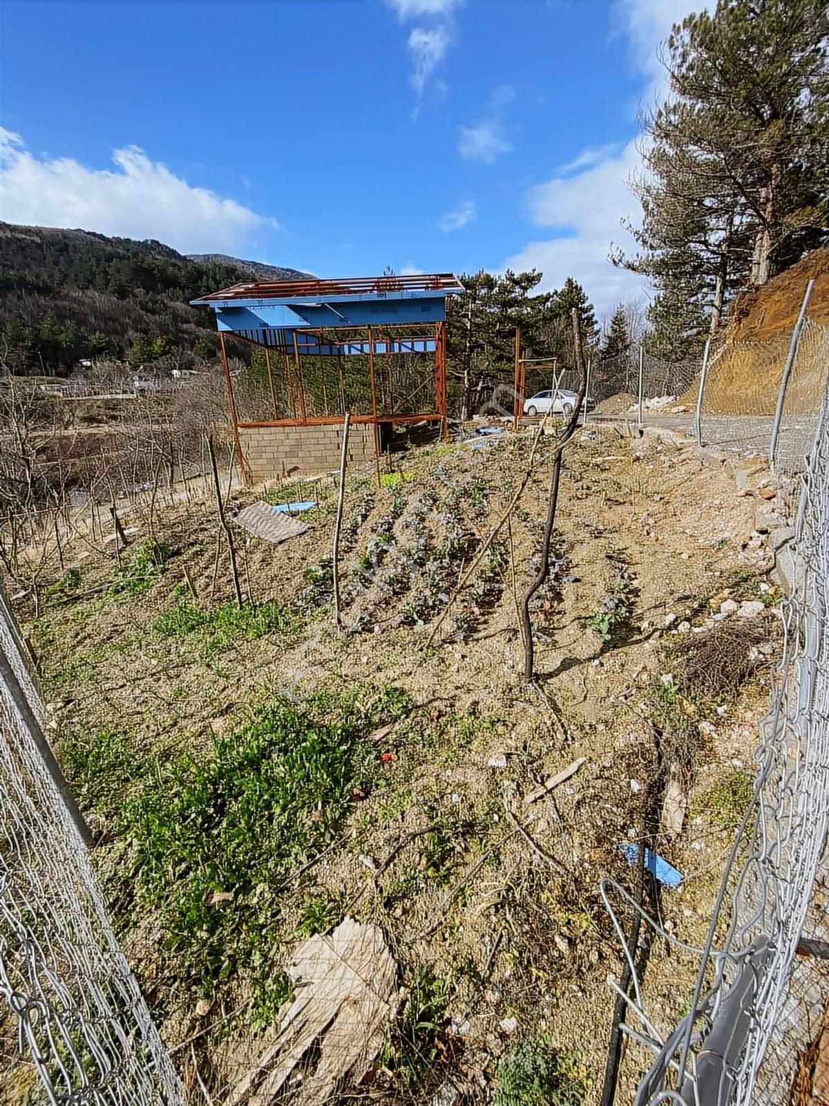 Kestel Saitabatta Huzurlu Yaşam Ve Yatırım Bir Arada - Görsel 14