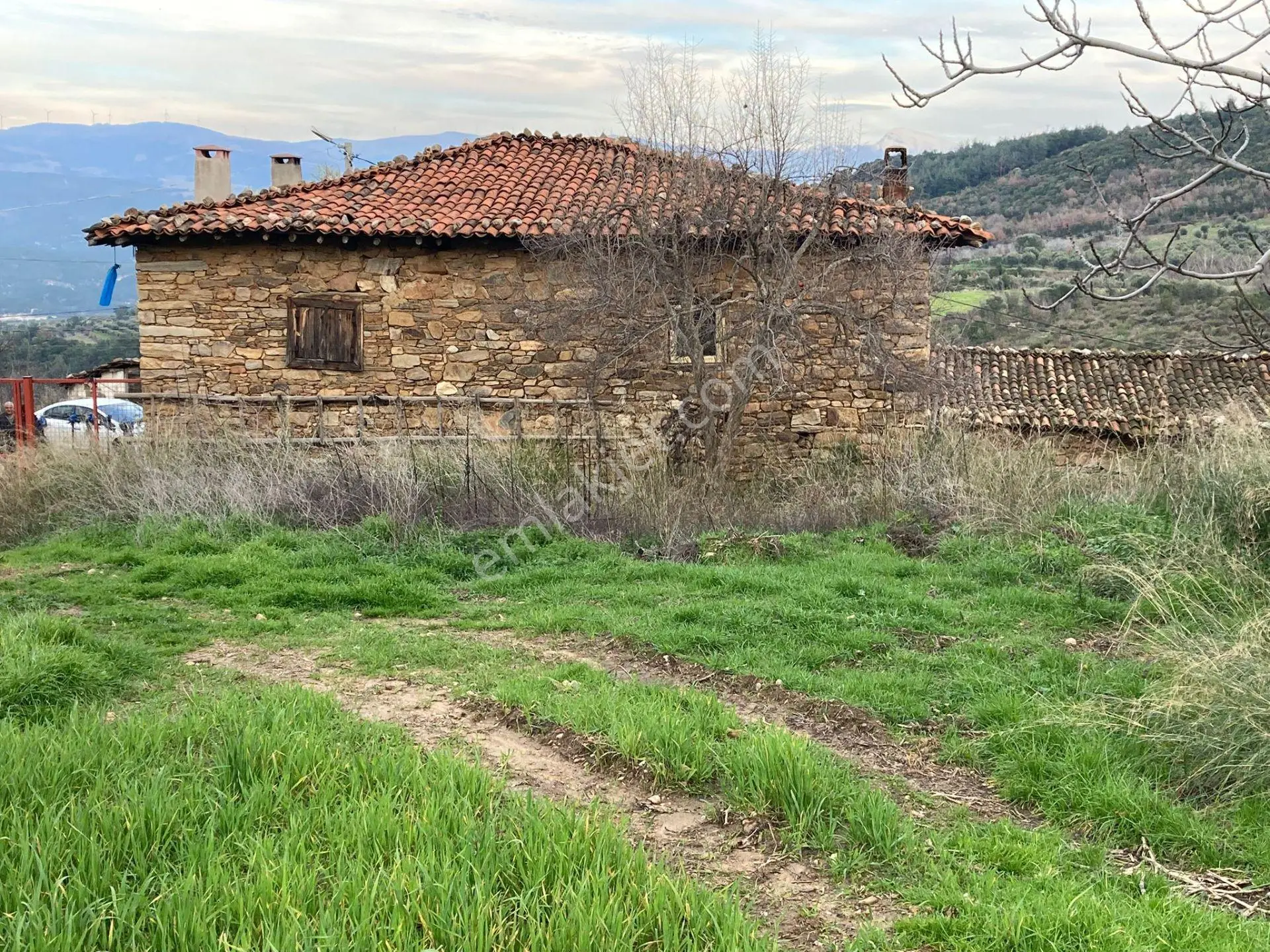 Muhteşem Baraj Manzaralı Köyevi Ve Zeytin-incir Bahçesi 7000 M2