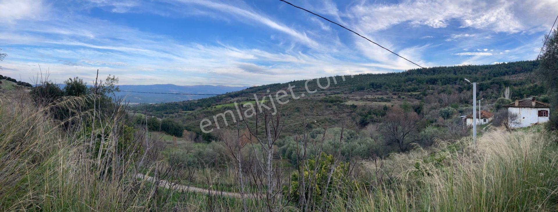 Muhteşem Baraj Manzaralı Köyevi Ve Zeytin-incir Bahçesi 7000 M2 - Görsel 18