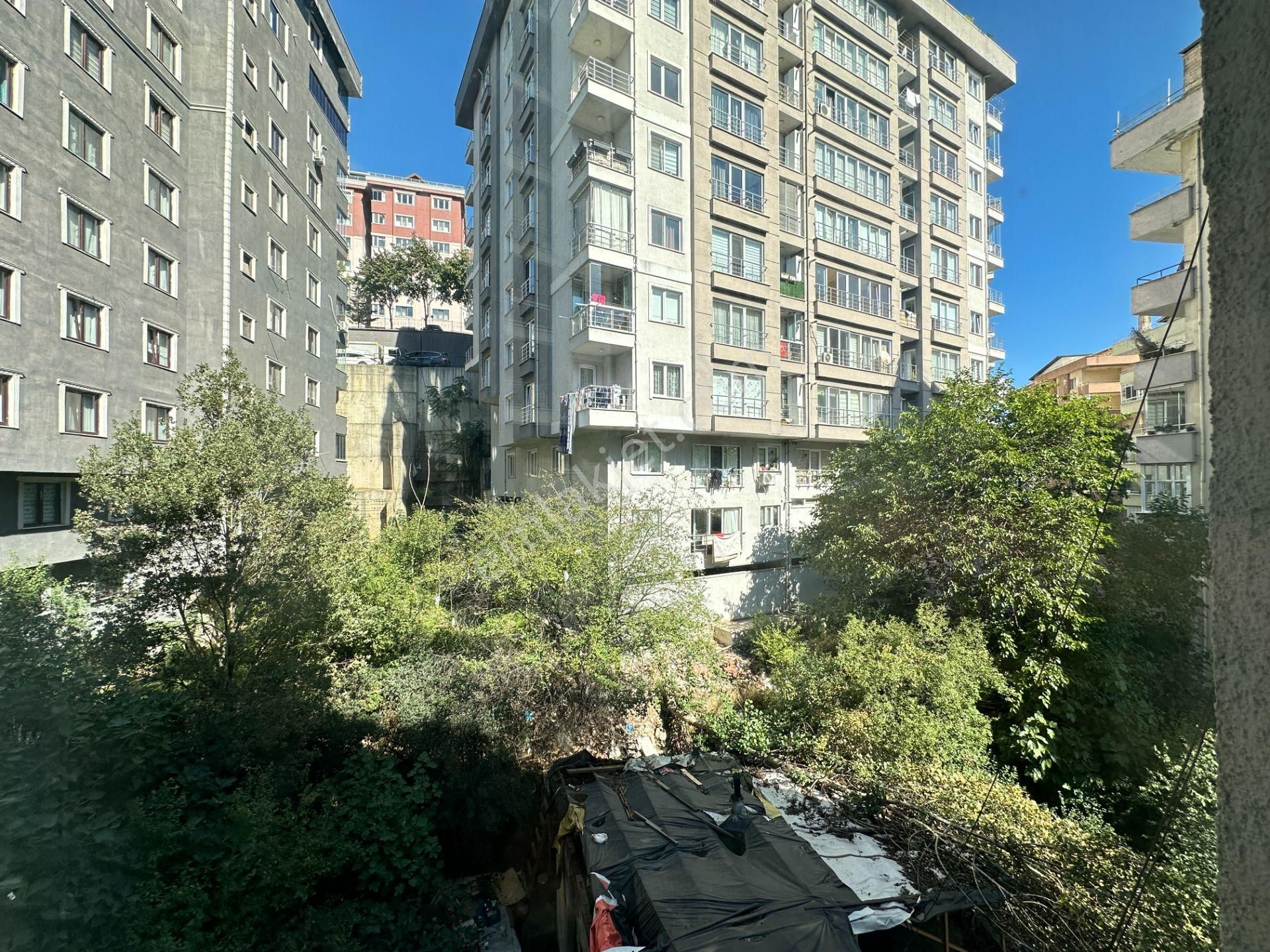 Green Pine Residence Fırsat 7. Kat 64m² 1+1 - Görsel 6