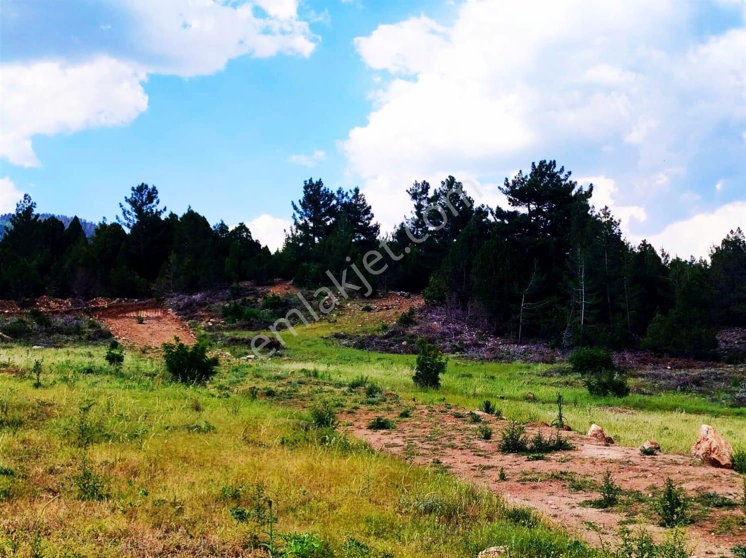 Kar Emlaktan Alpu Radar Yolunda 400 M2 Satılık Arsa - Görsel 12