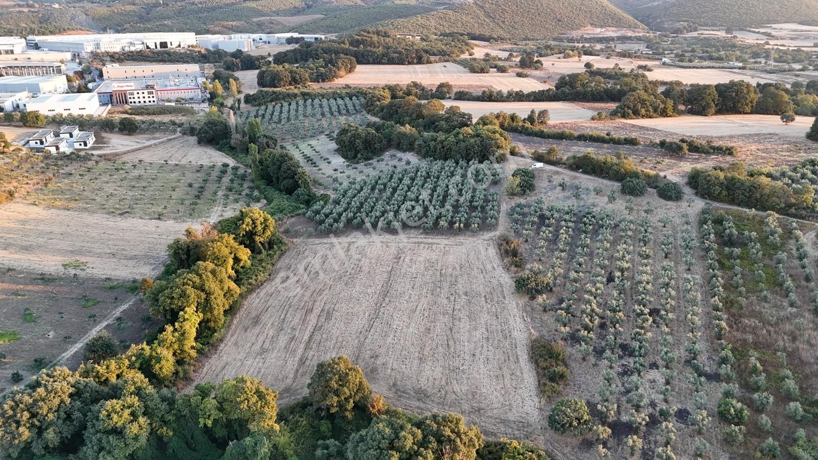 Civanoğlu Ndan Nilüfer Akçalar Sanayi Dibinde Yatırımlık Arazi - Görsel 14
