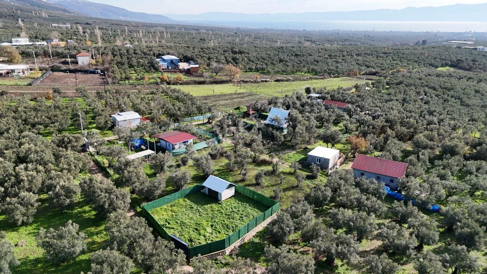 Orhangazi Yeniköy'de Sahibinden 380 M2 Hobi Bahçesi - Görsel 7