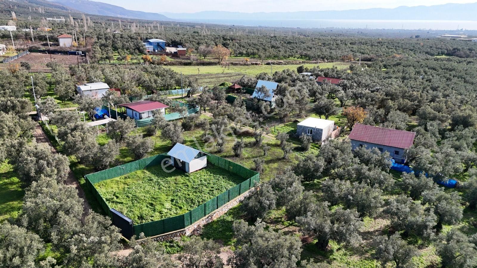 Orhangazi Yeniköy'de Sahibinden 380 M2 Hobi Bahçesi - Görsel 6