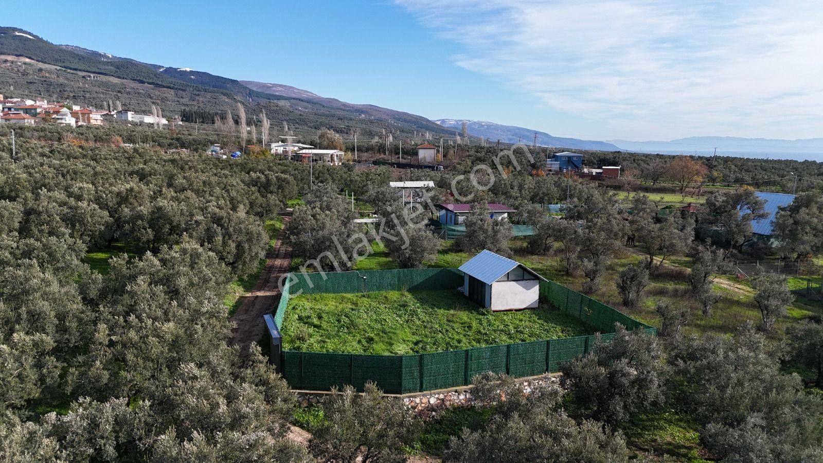 Orhangazi Yeniköy'de Sahibinden 380 M2 Hobi Bahçesi - Görsel 5