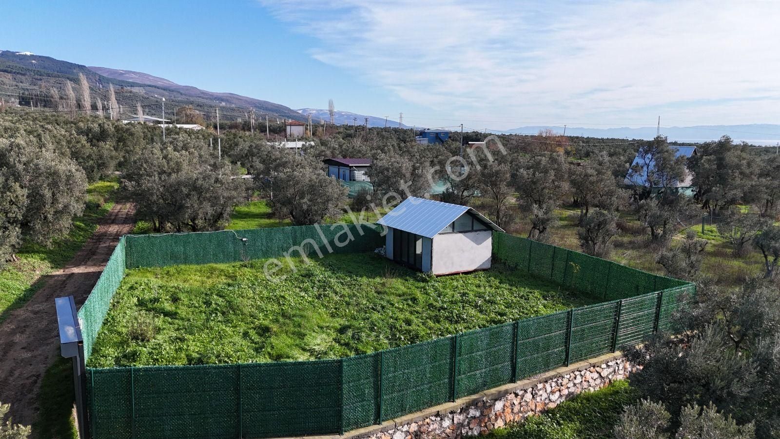 Orhangazi Yeniköy'de Sahibinden 380 M2 Hobi Bahçesi - Görsel 4