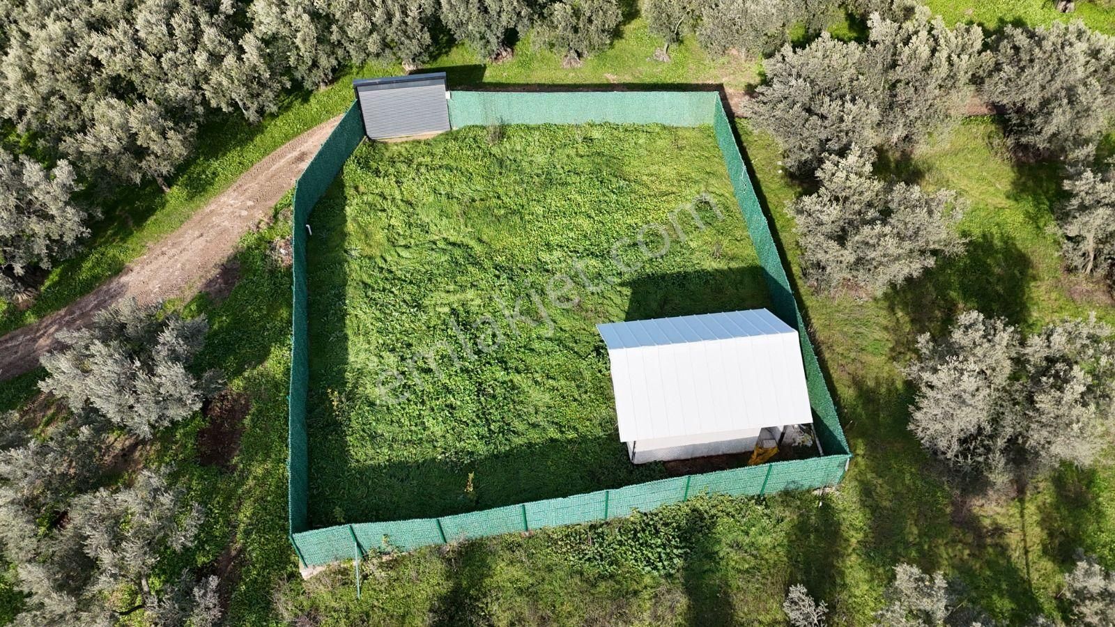 Orhangazi Yeniköy'de Sahibinden 380 M2 Hobi Bahçesi - Görsel 2